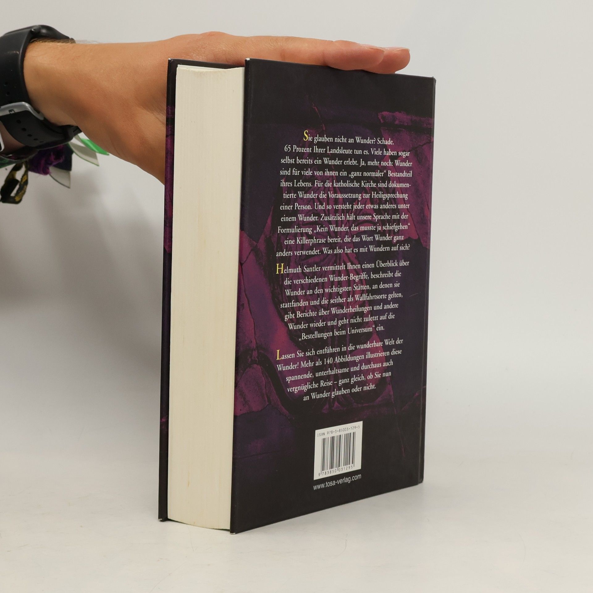 Helmuth Santler Das große Handbuch der Wunder