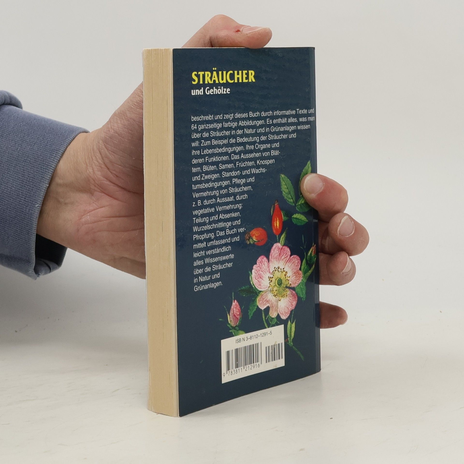 Jiřina Kaplická Florová Straeucher und Gehoelze