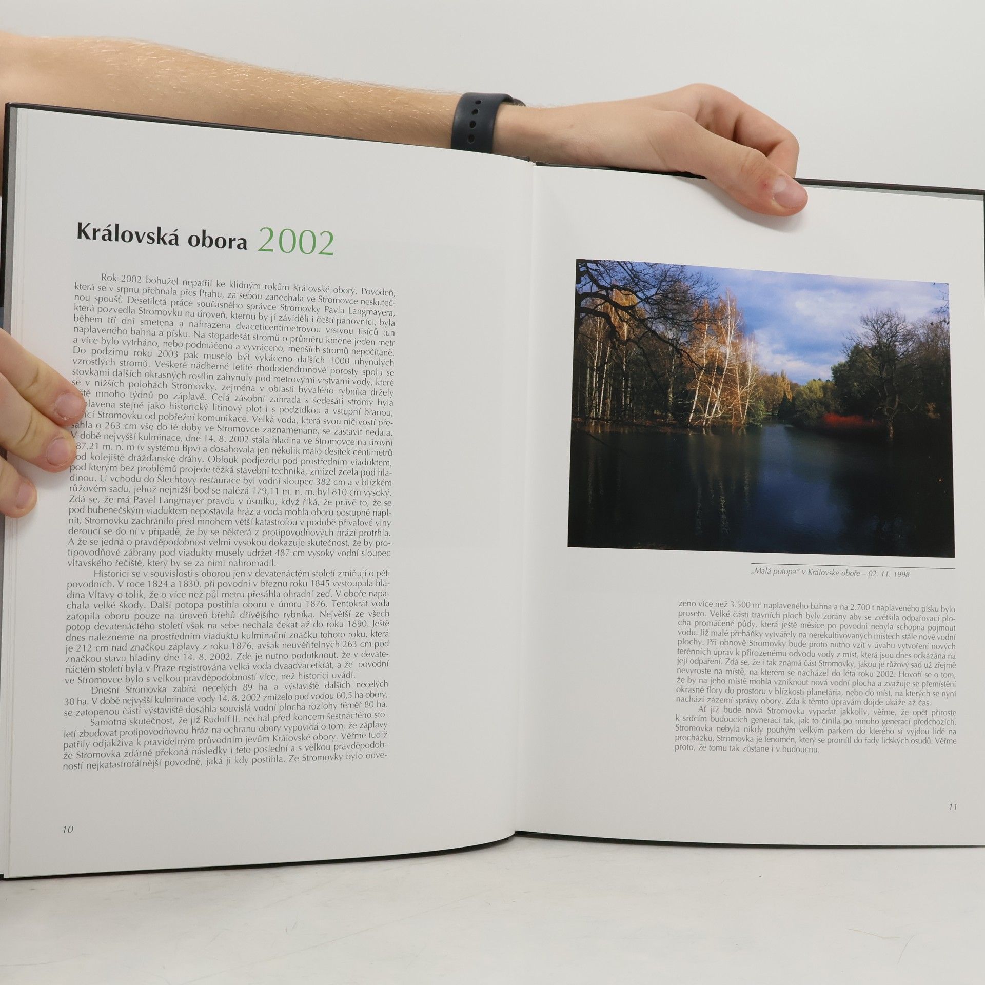 Mervyn Sterneck Královská obora. Stromovka 2002