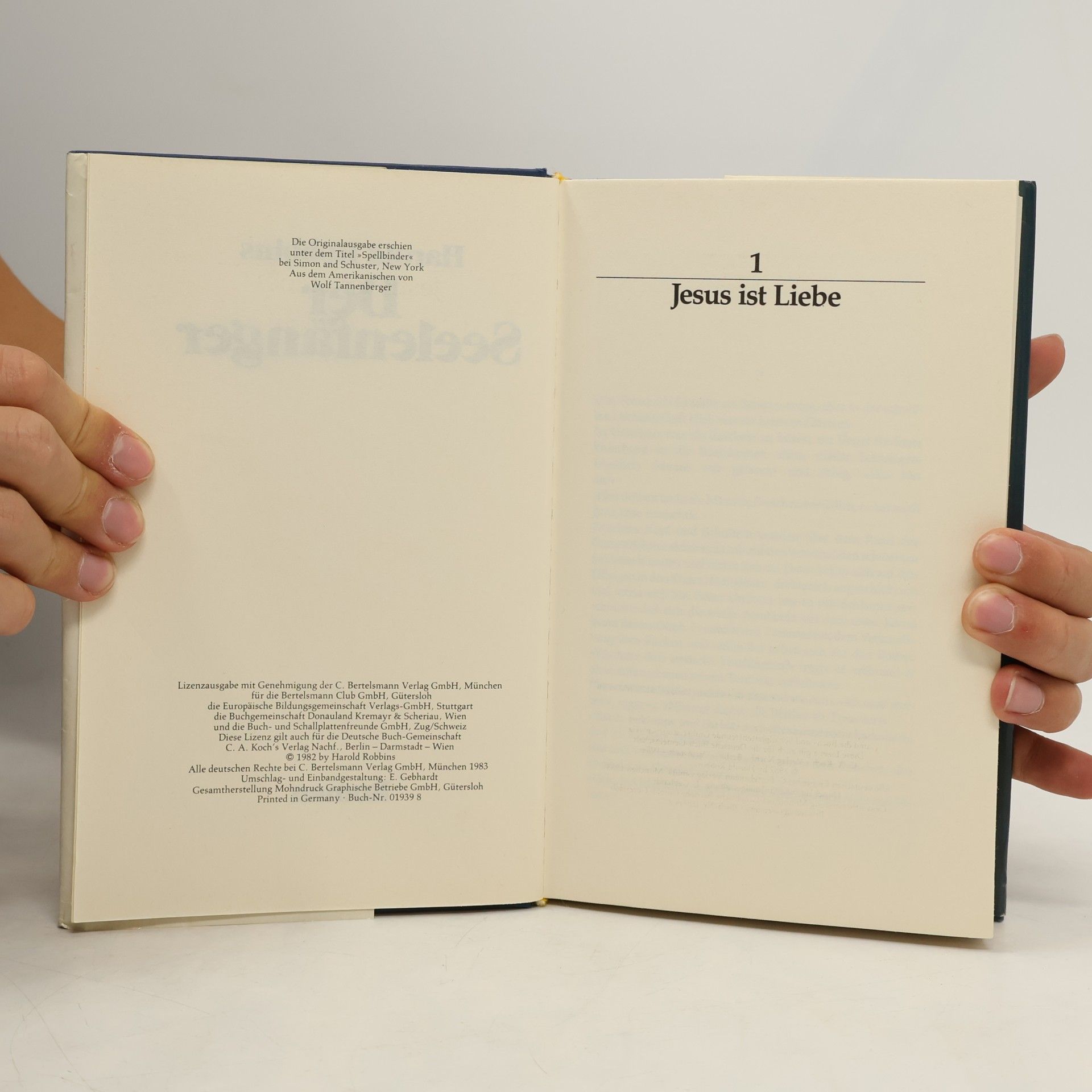 Harold Robbins Der Seelenfänger