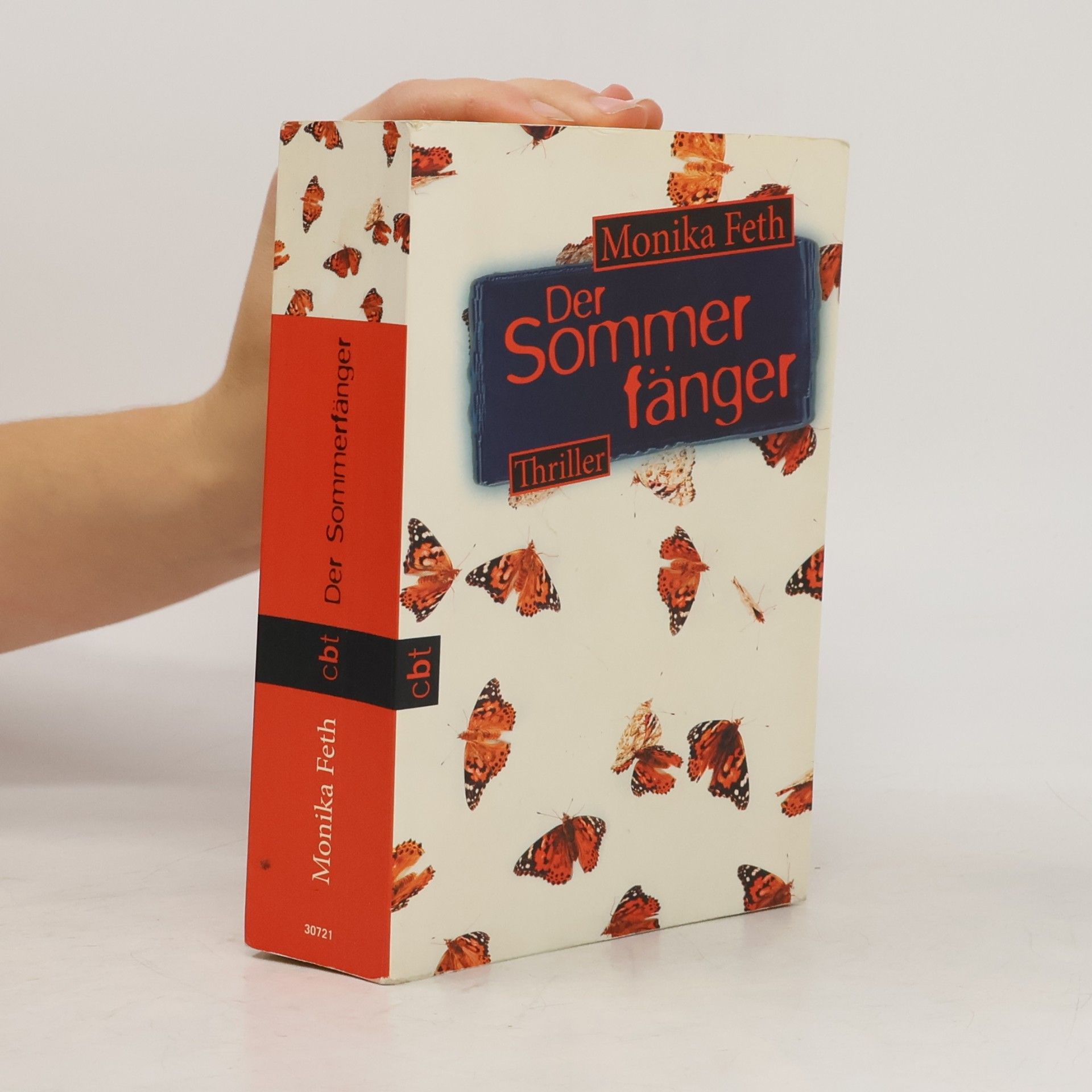 Monika Feth Der Sommerfänger
