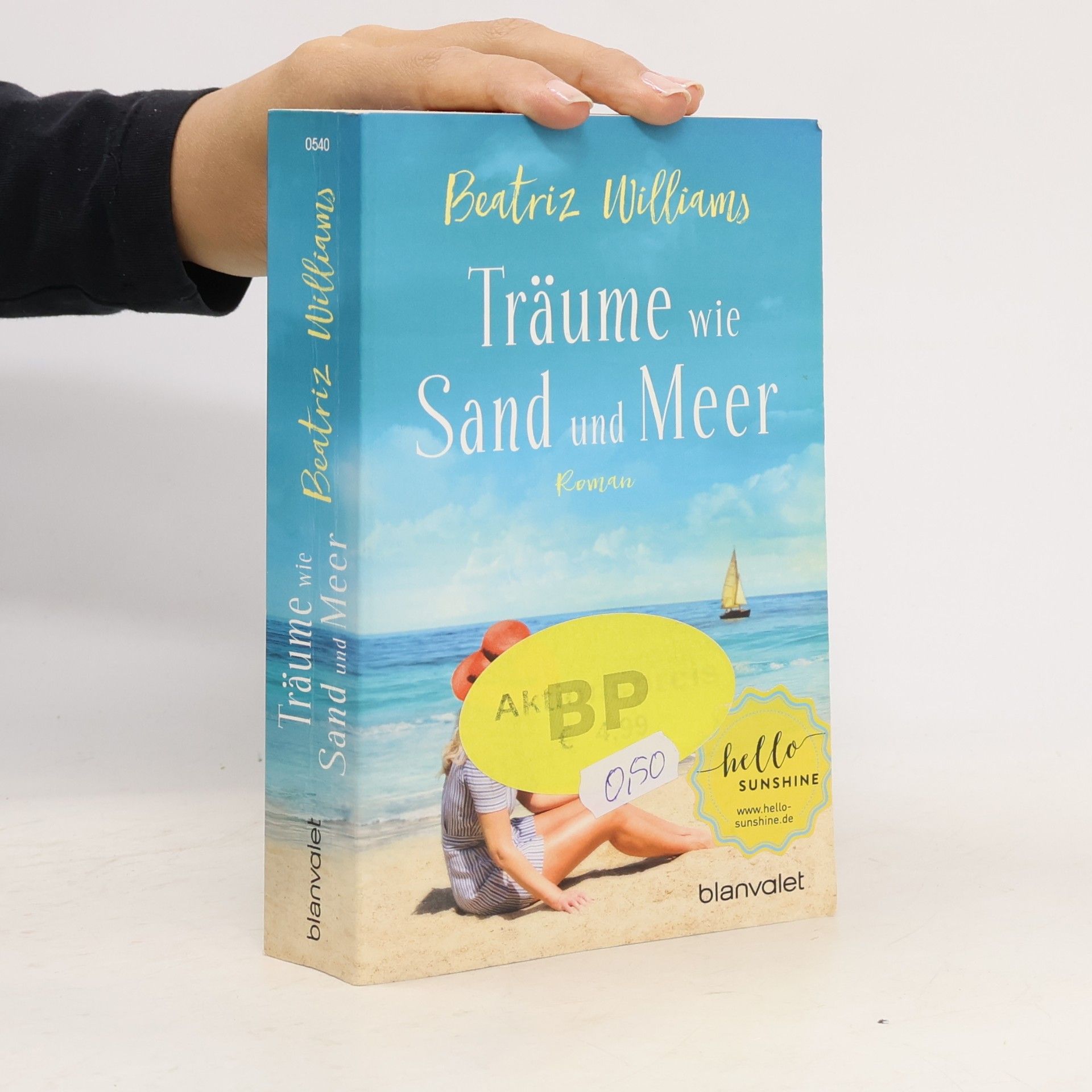 Beatriz Williams Träume wie Sand und Meer