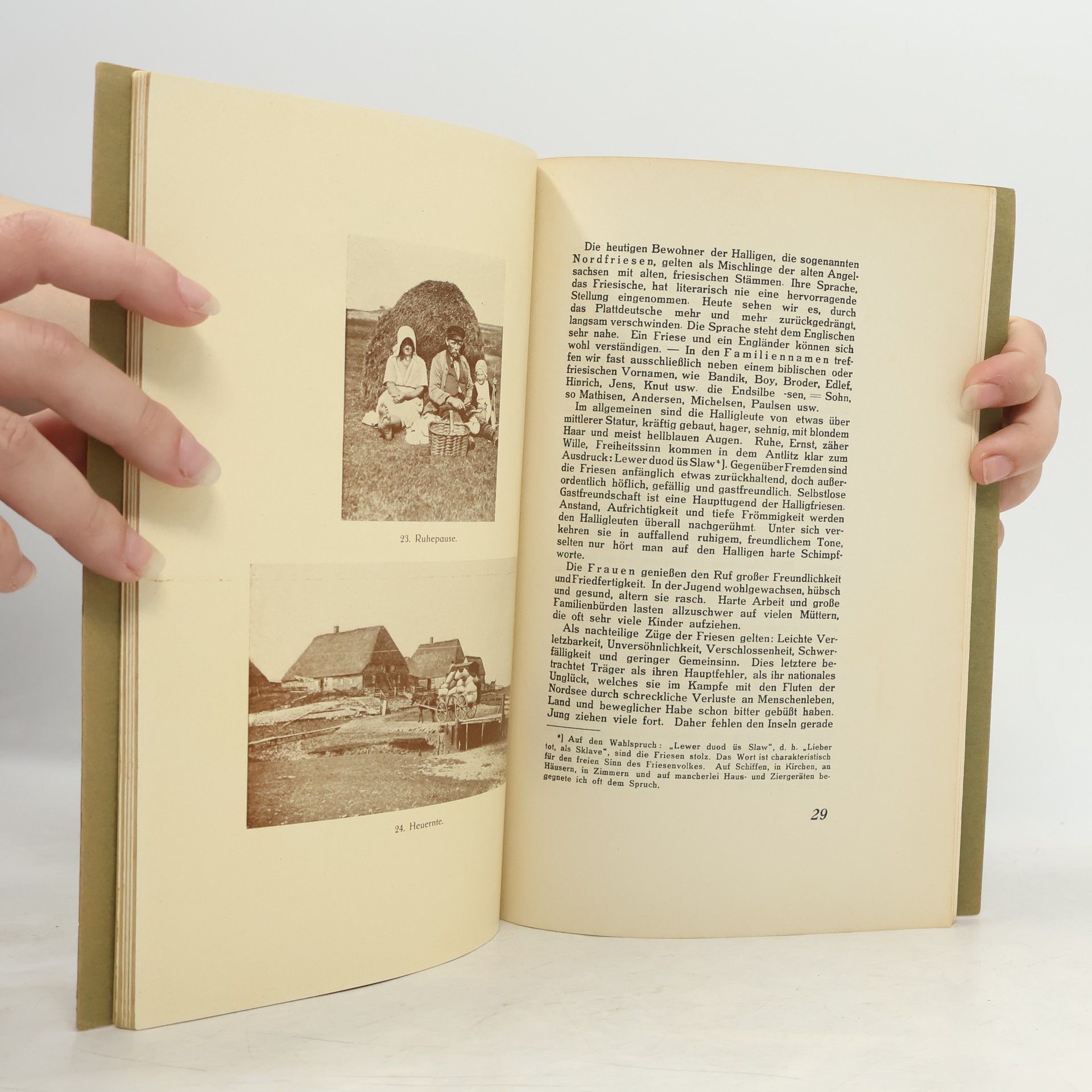 kolektiv Bücher im goldenen Reif