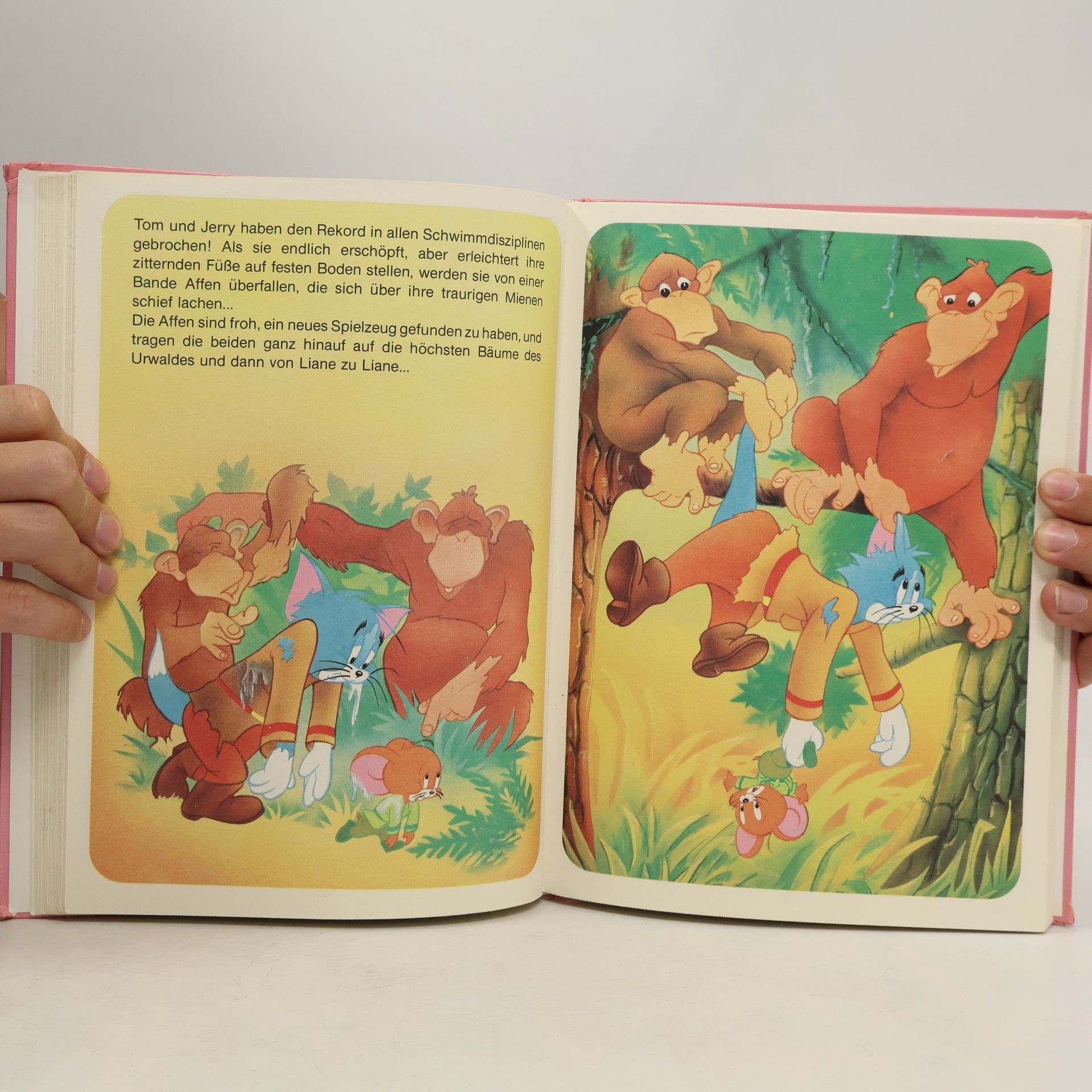 [Anonymus AC10845219] Das grosse Tom und Jerry Buch