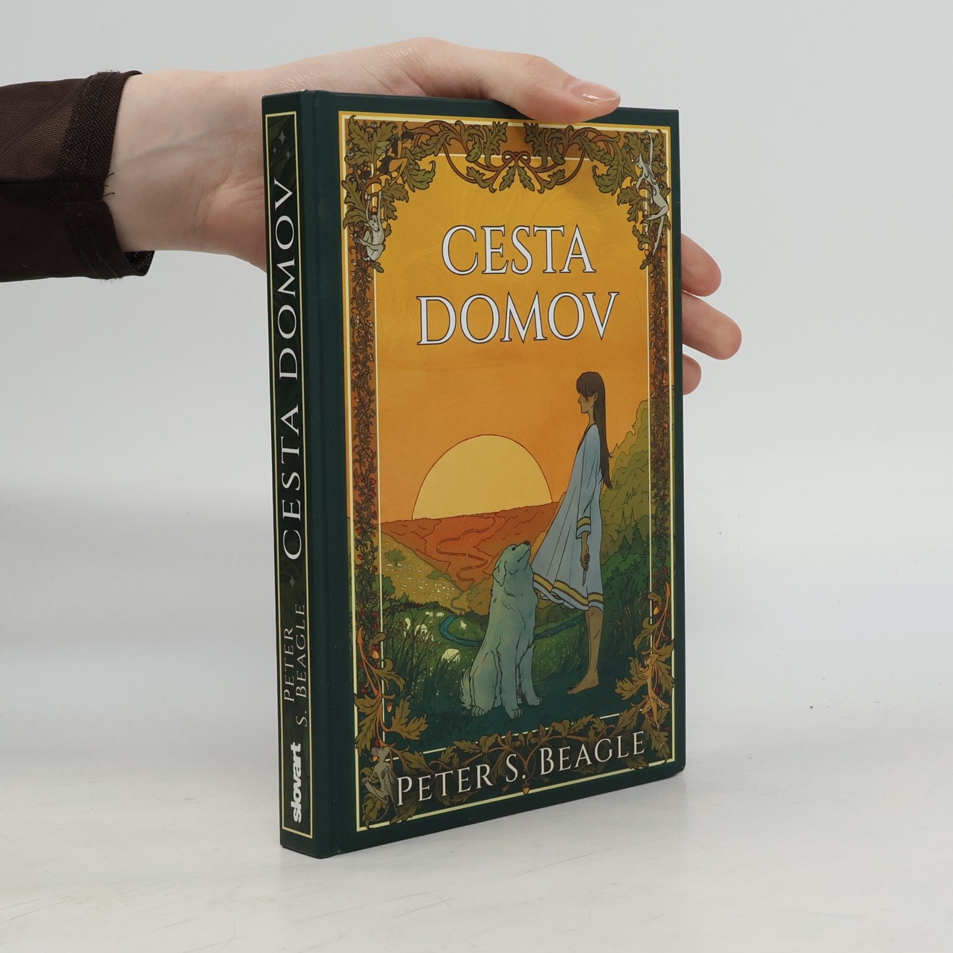 Peter S. Beagle Cesta domov