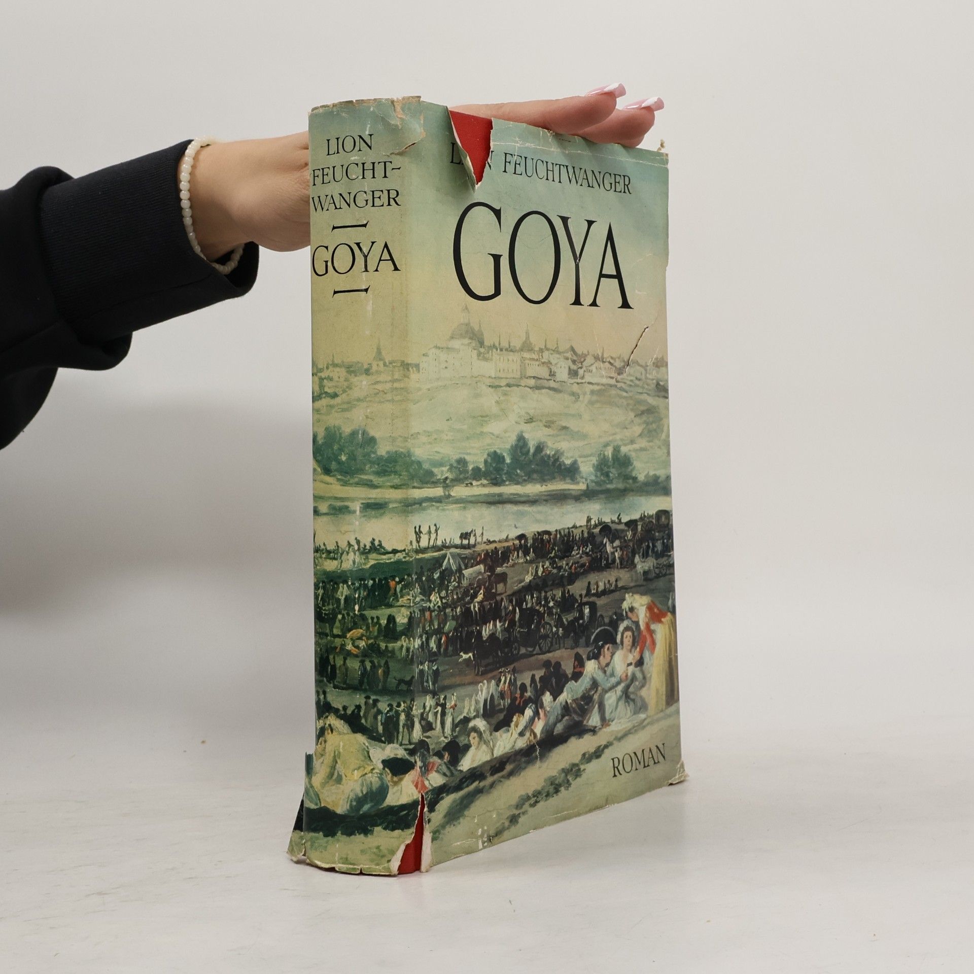Lion Wagner Goya