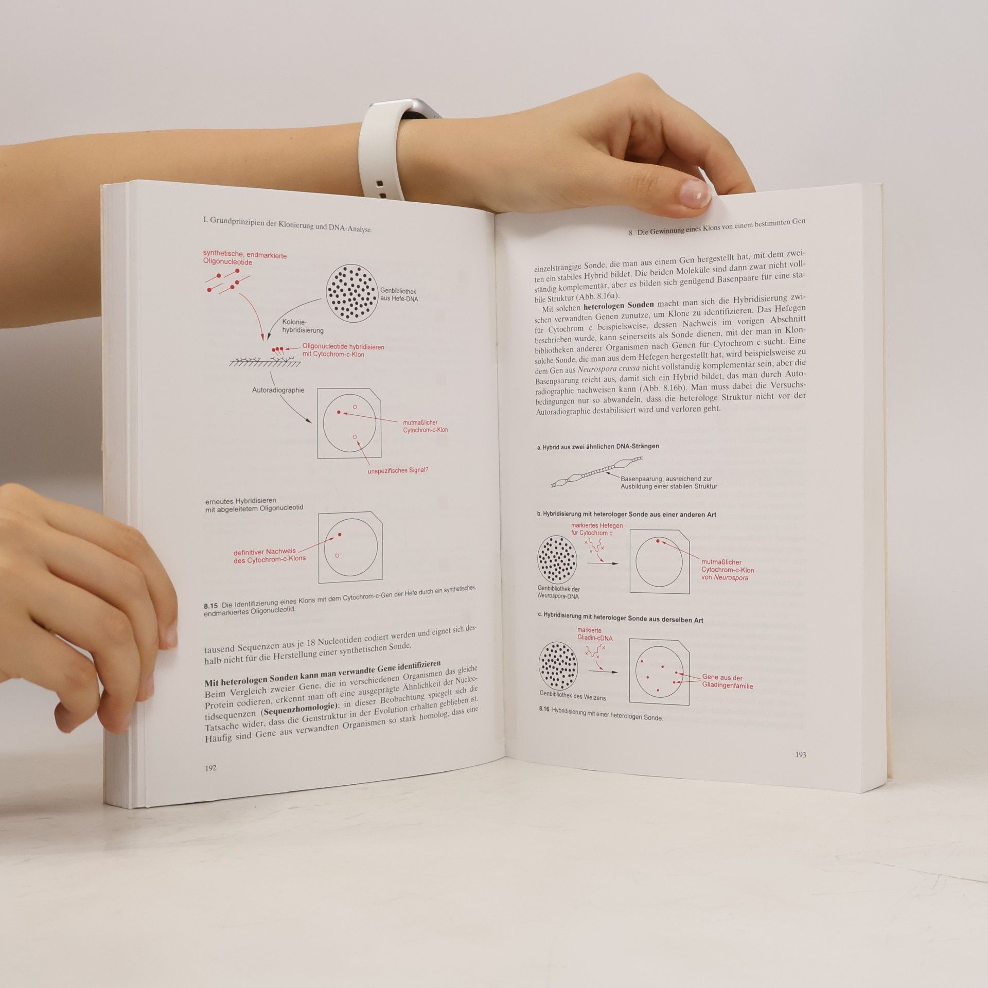 Terence A. Brown Gentechnologie für Einsteiger - 3. Auflage