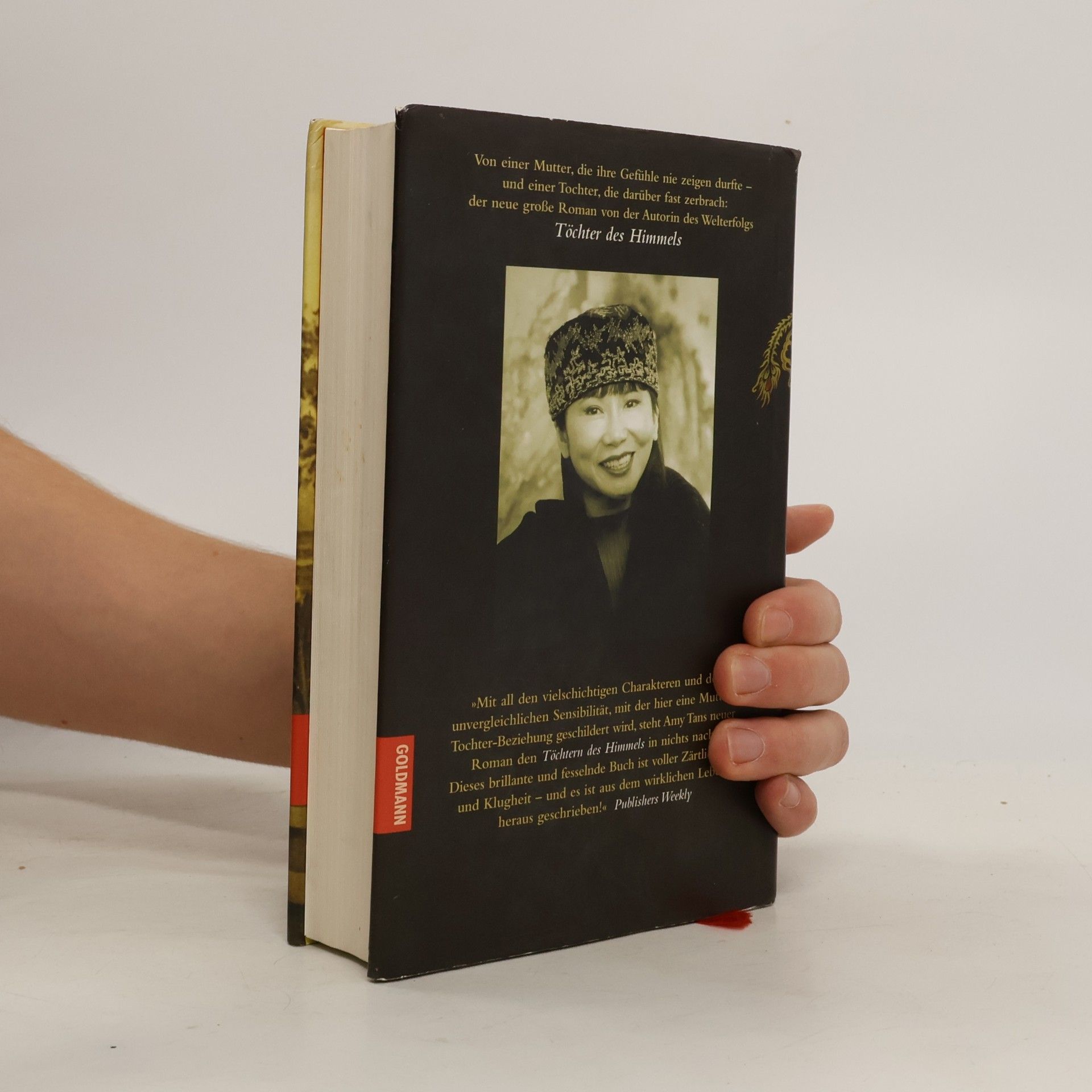 Amy Tan Das Tuschezeichen