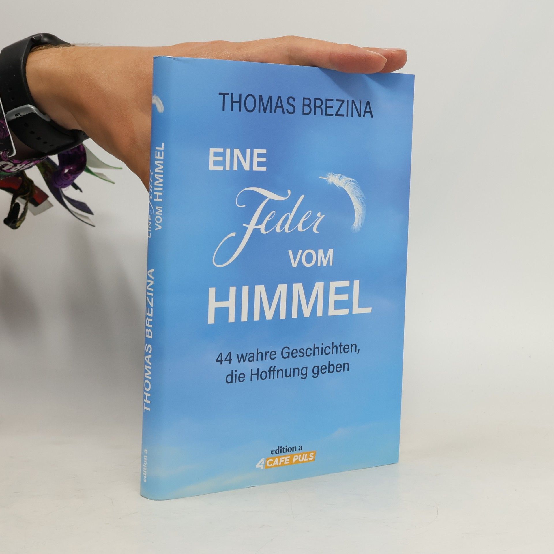 Thomas Brezina Eine Feder vom Himmel