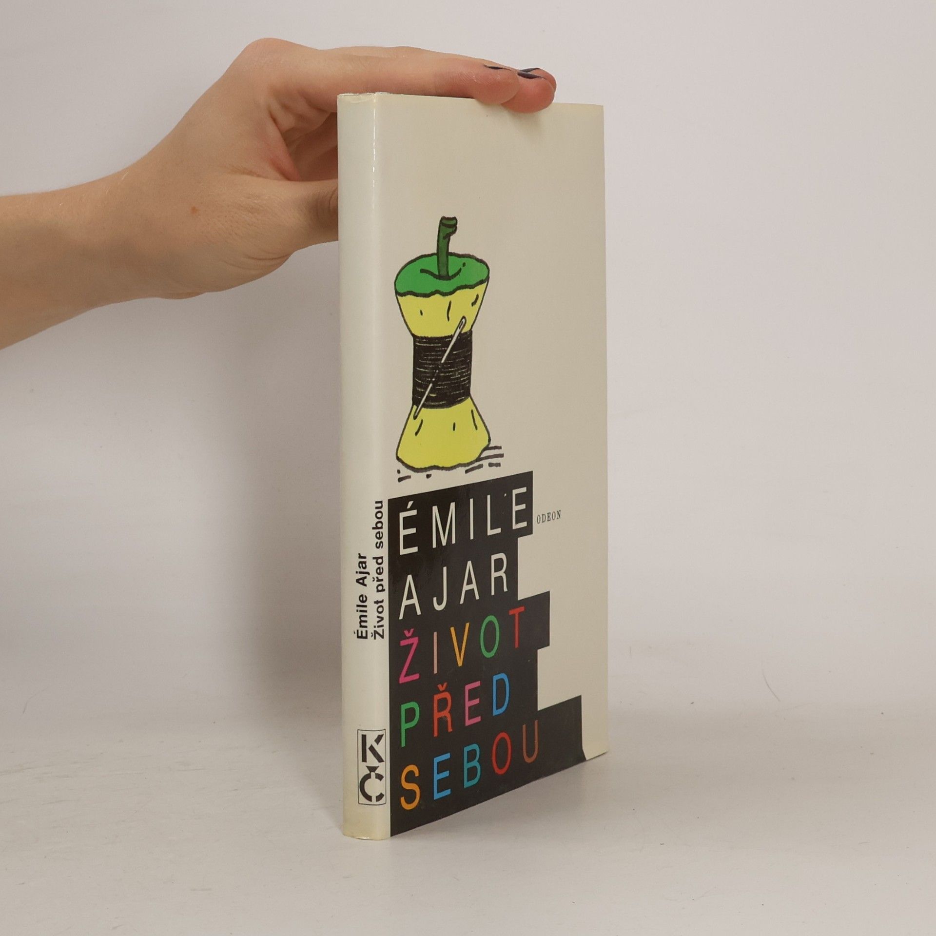 Romain Gary Život před sebou
