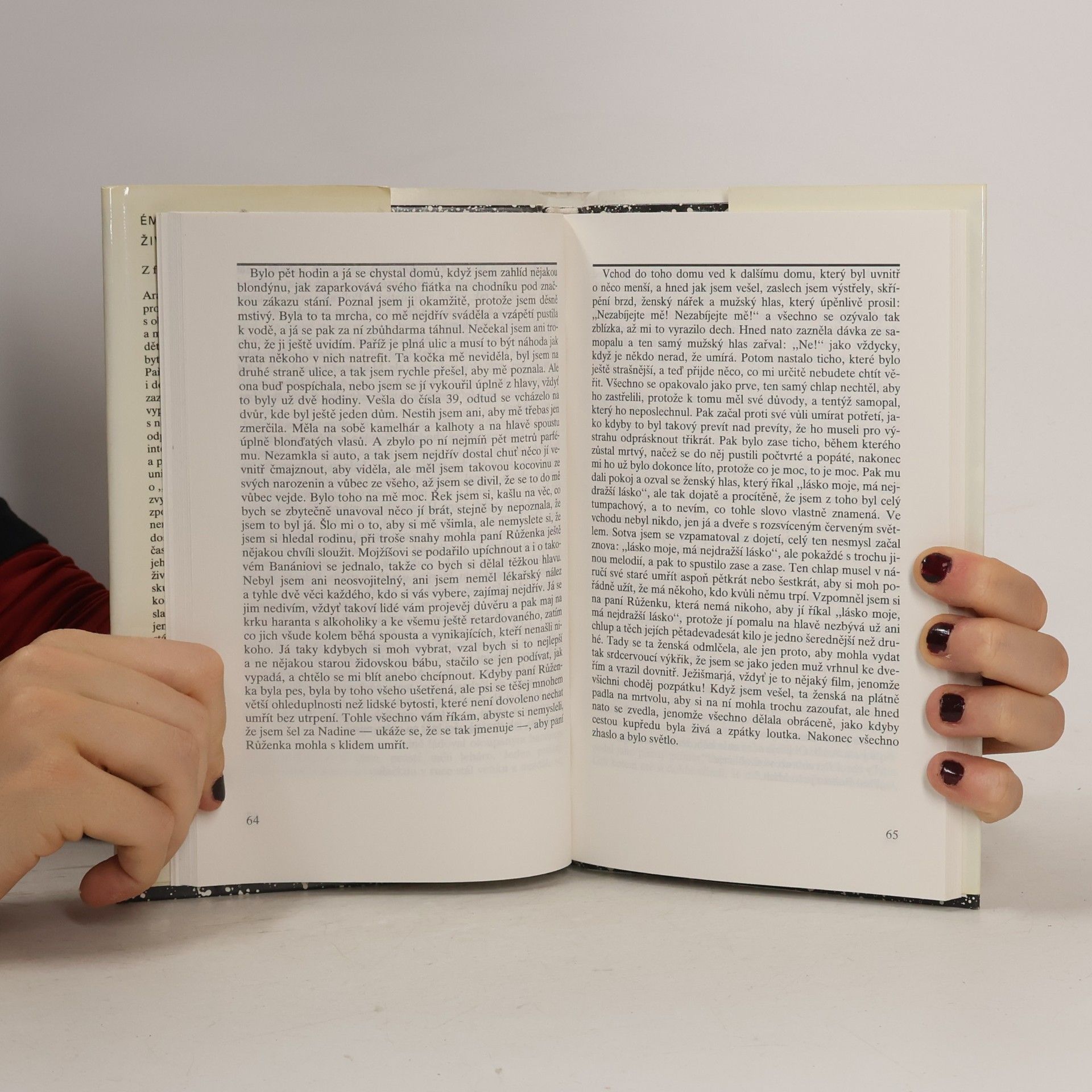 Romain Gary Život před sebou