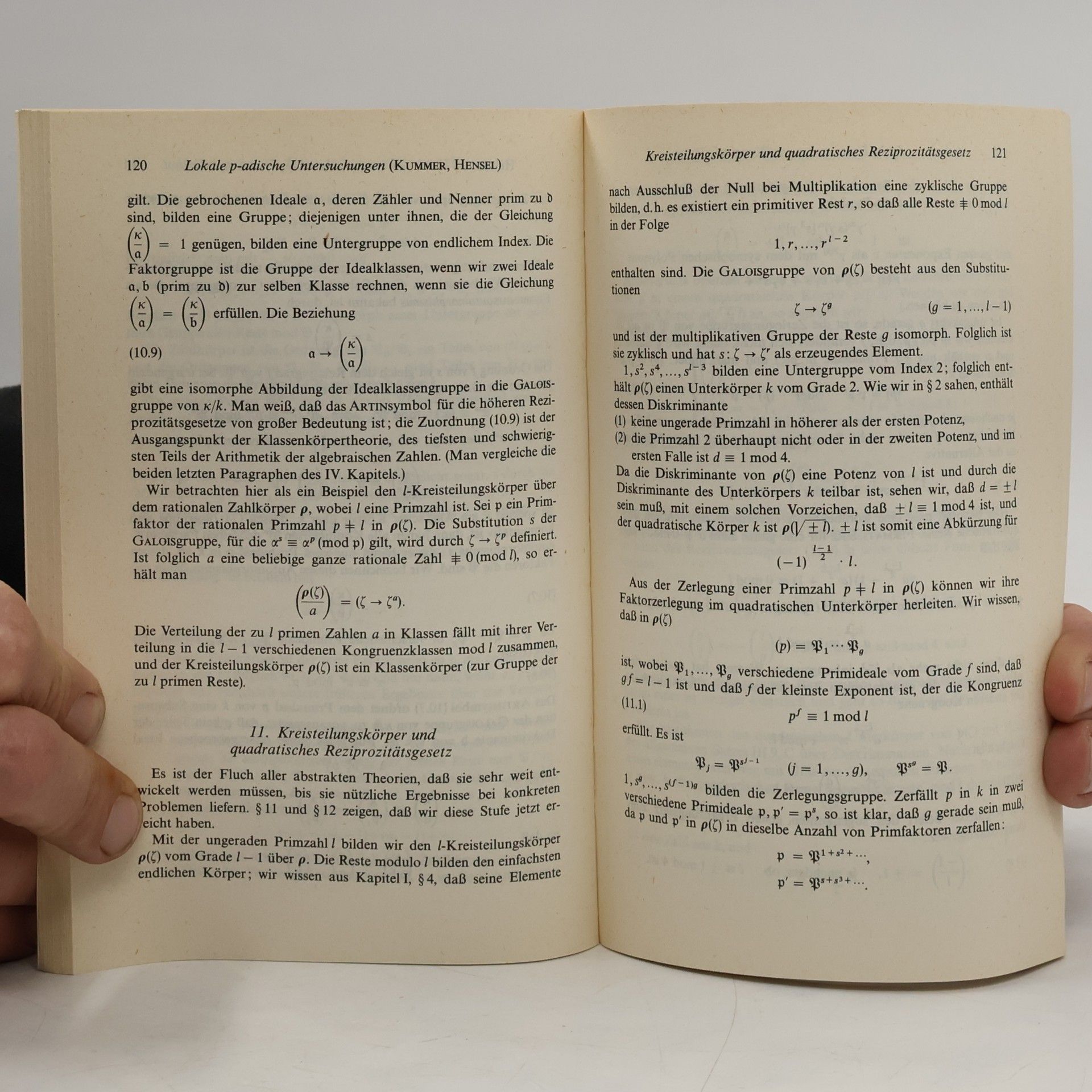 Hermann Weyl Algebraische Zahlentheorie