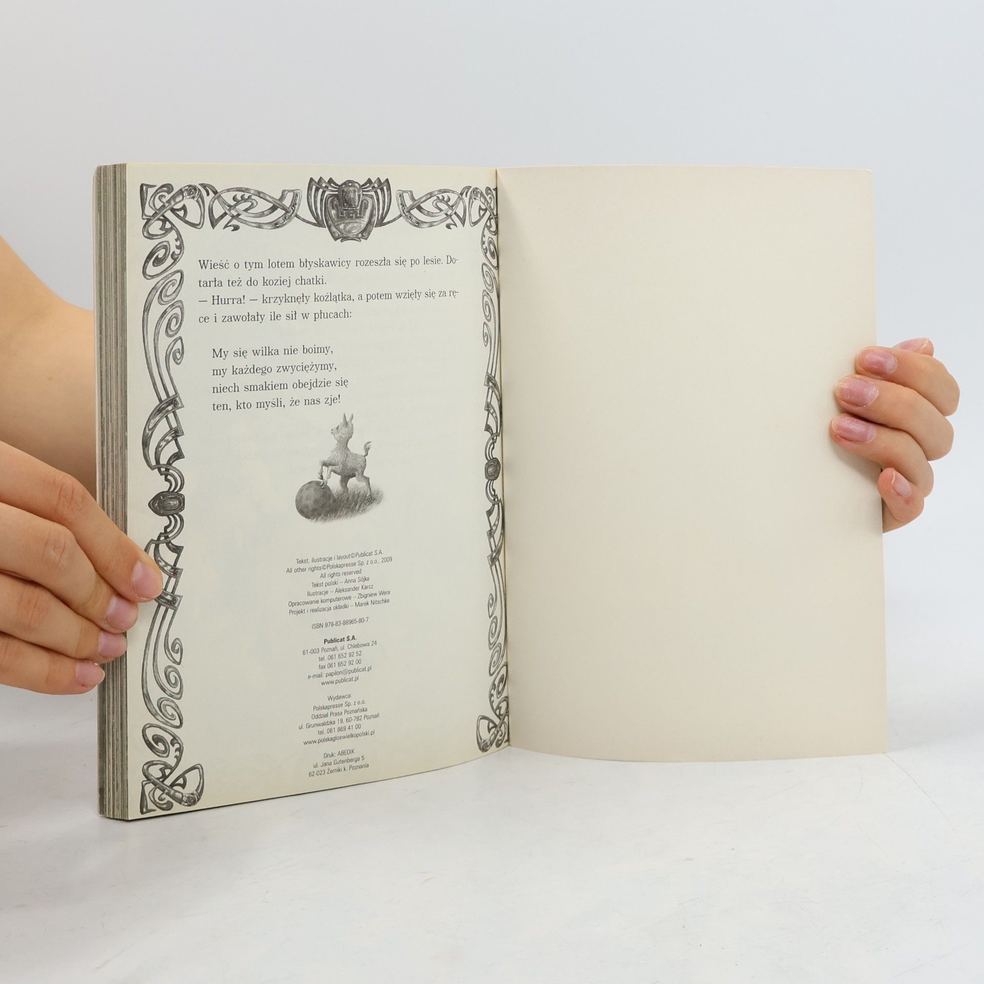 Jacob Grimm Najpiękniejsze baśnie braci Grimm