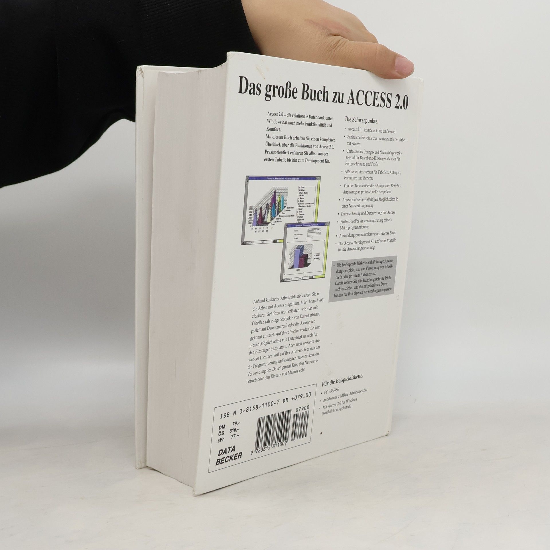 Jürgen Bär Das große Buch zu Access 2.0