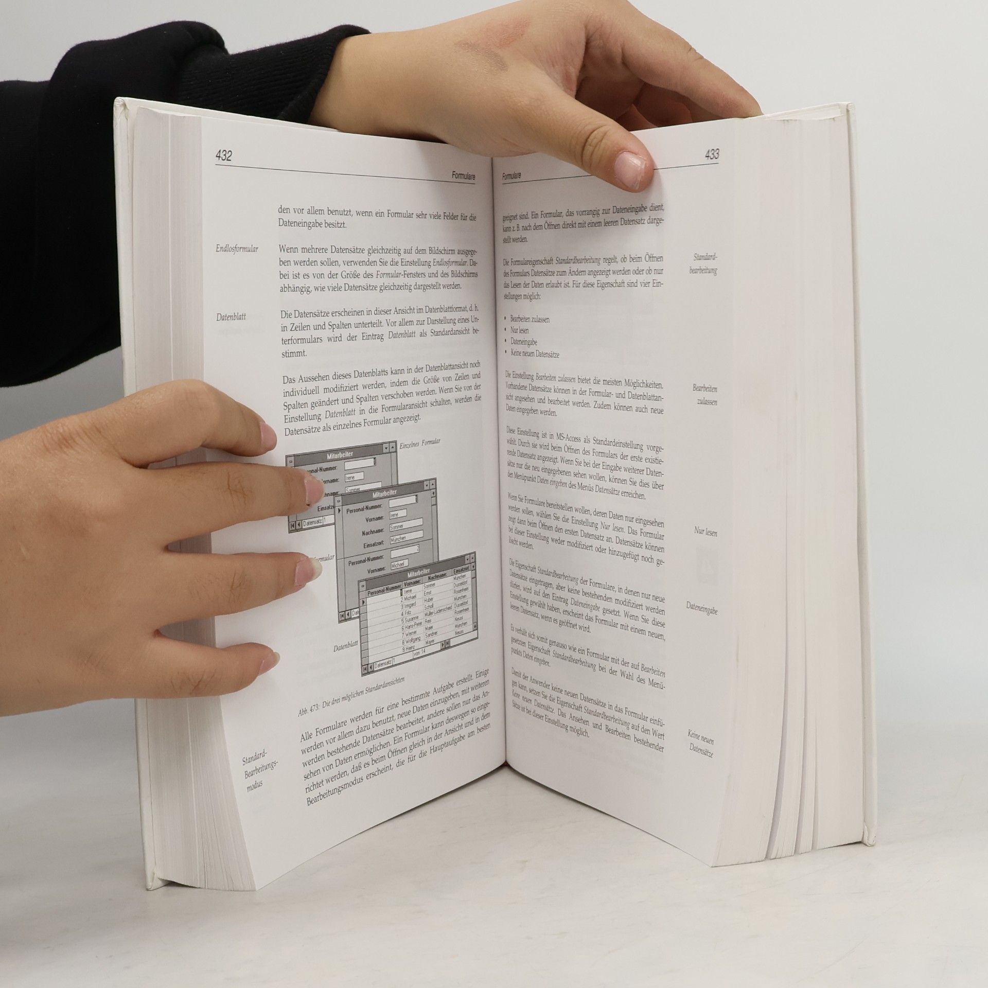 Jürgen Bär Das große Buch zu Access 2.0