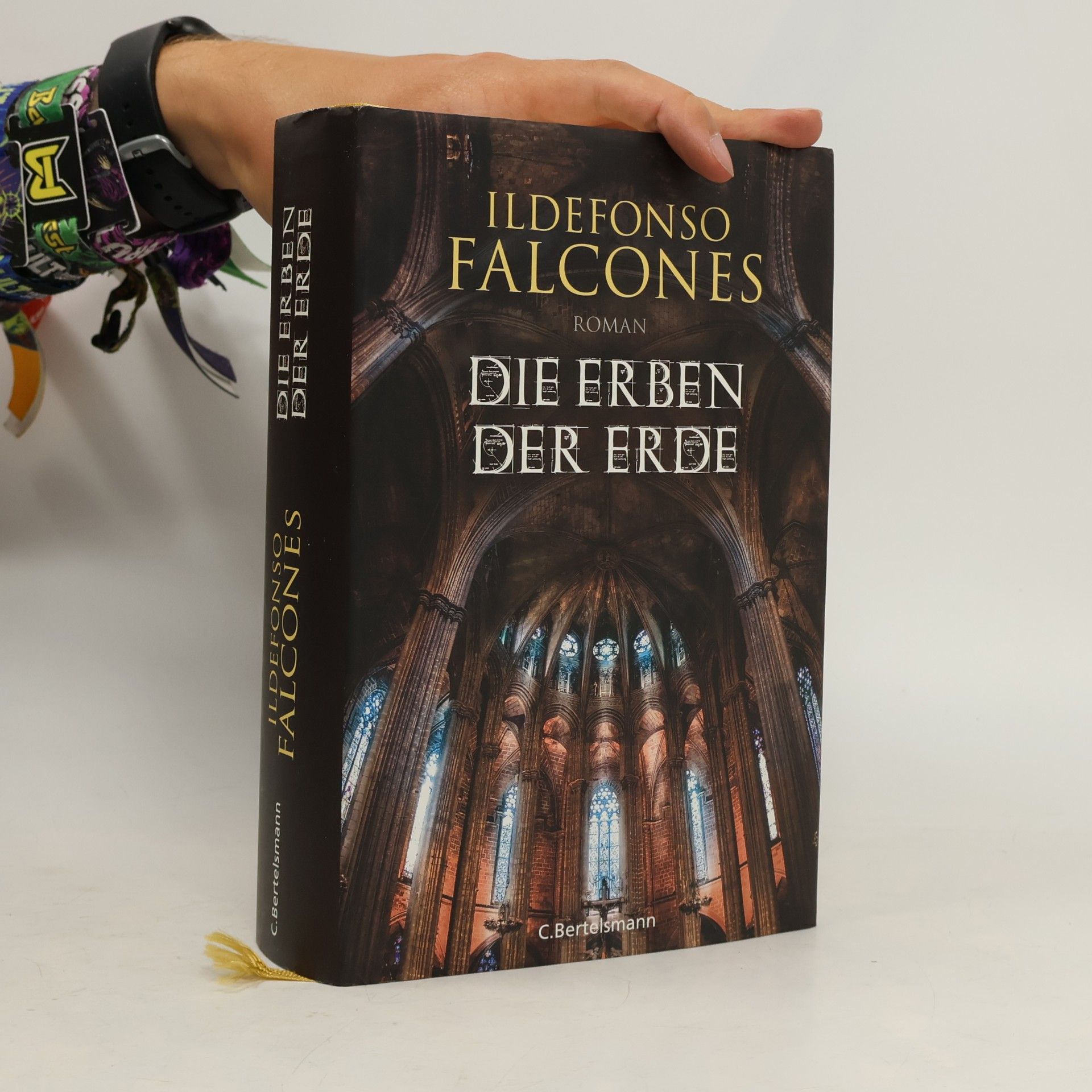 Ildefonso Falcones Die Erben der Erde