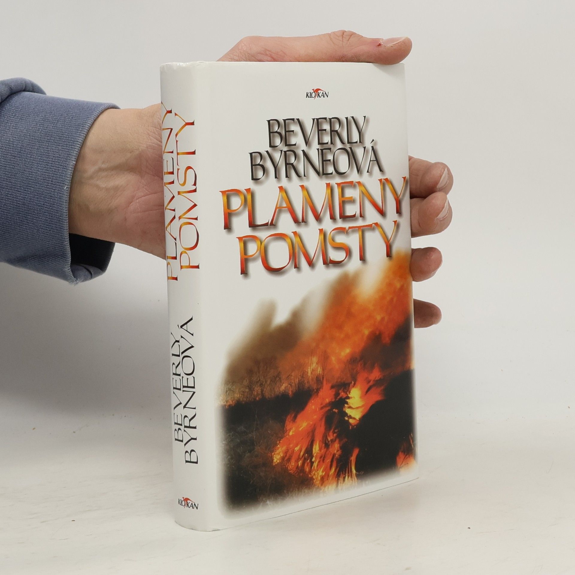 Beverly Byrne Plameny pomsty