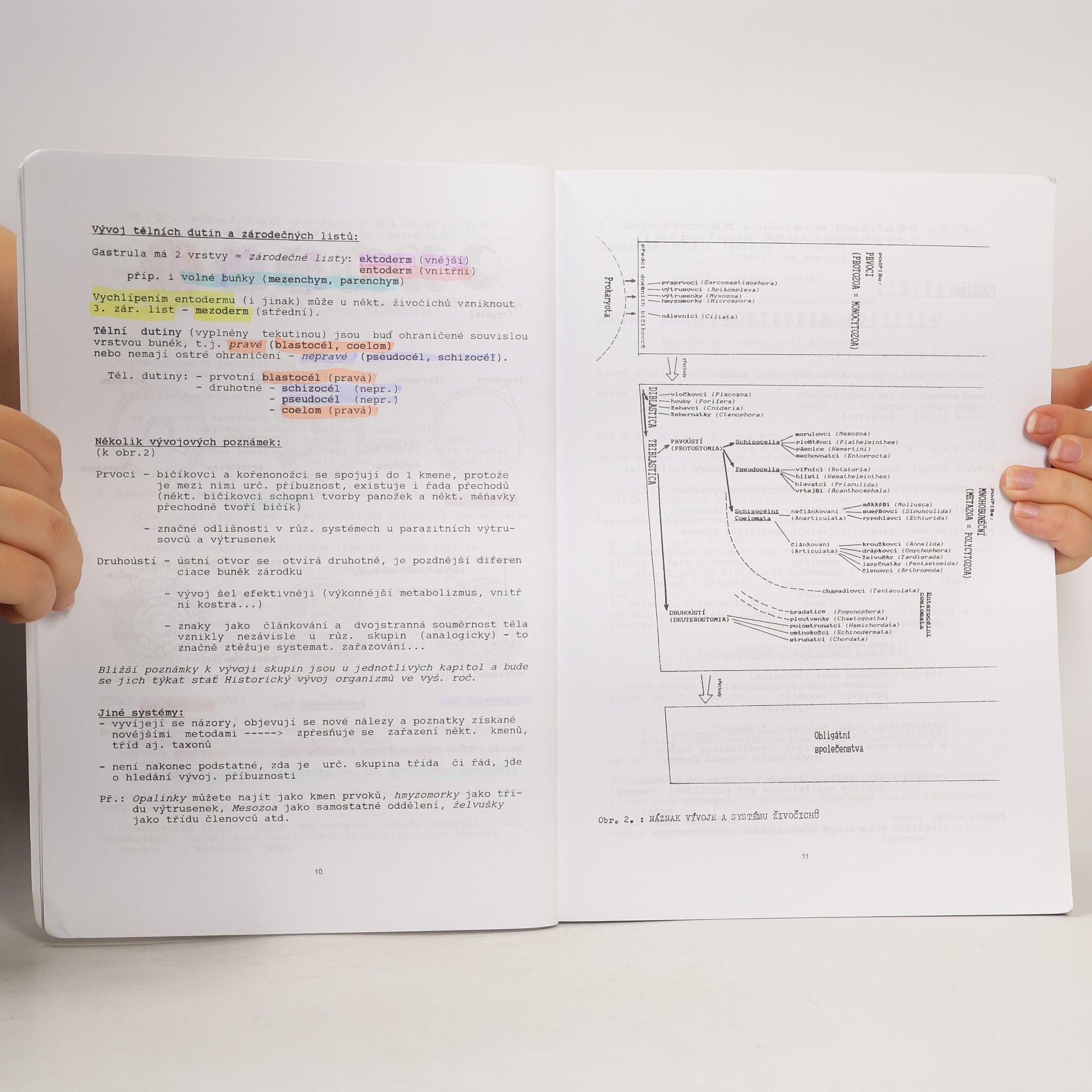Autorenkollektiv Biologie II.