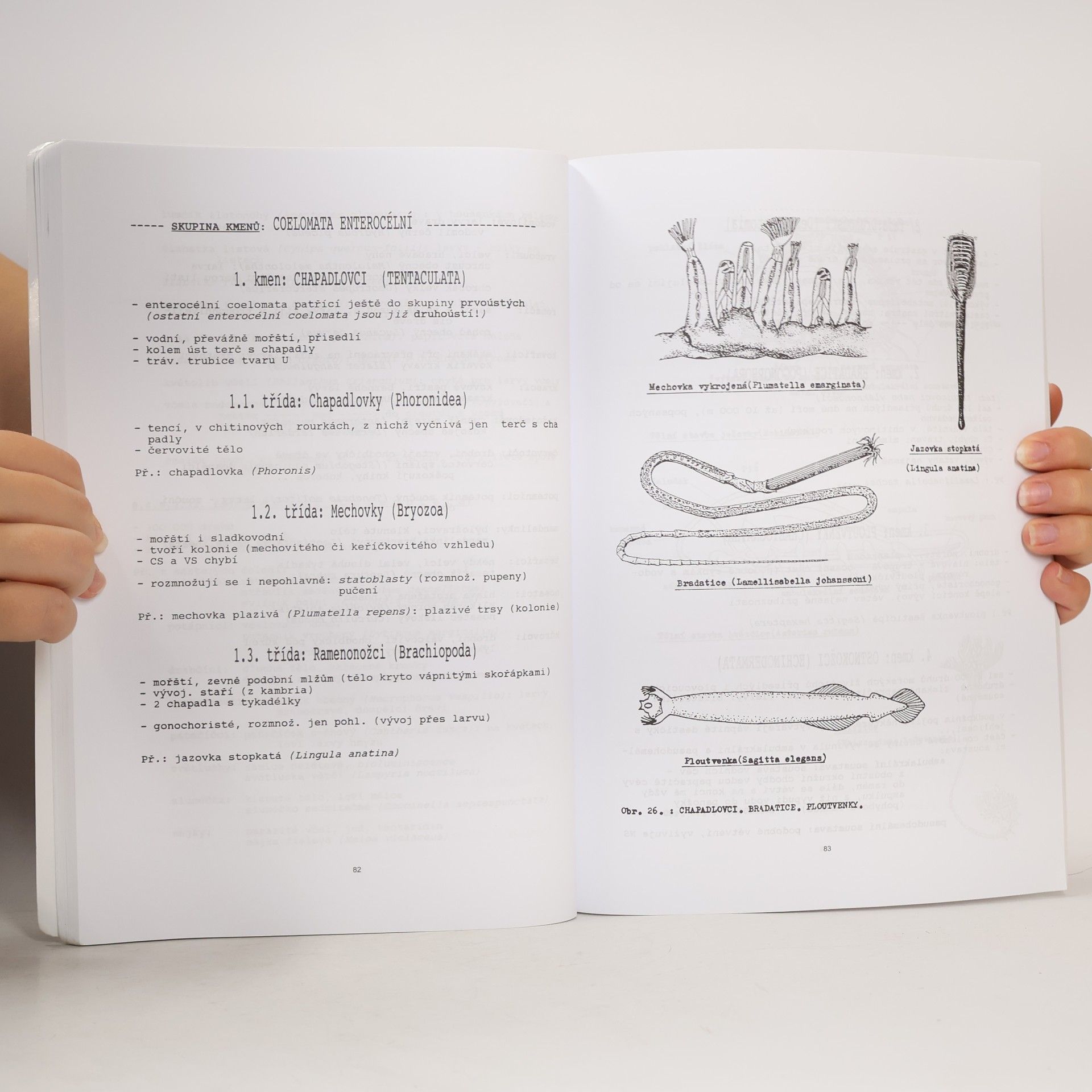 Autorenkollektiv Biologie II.