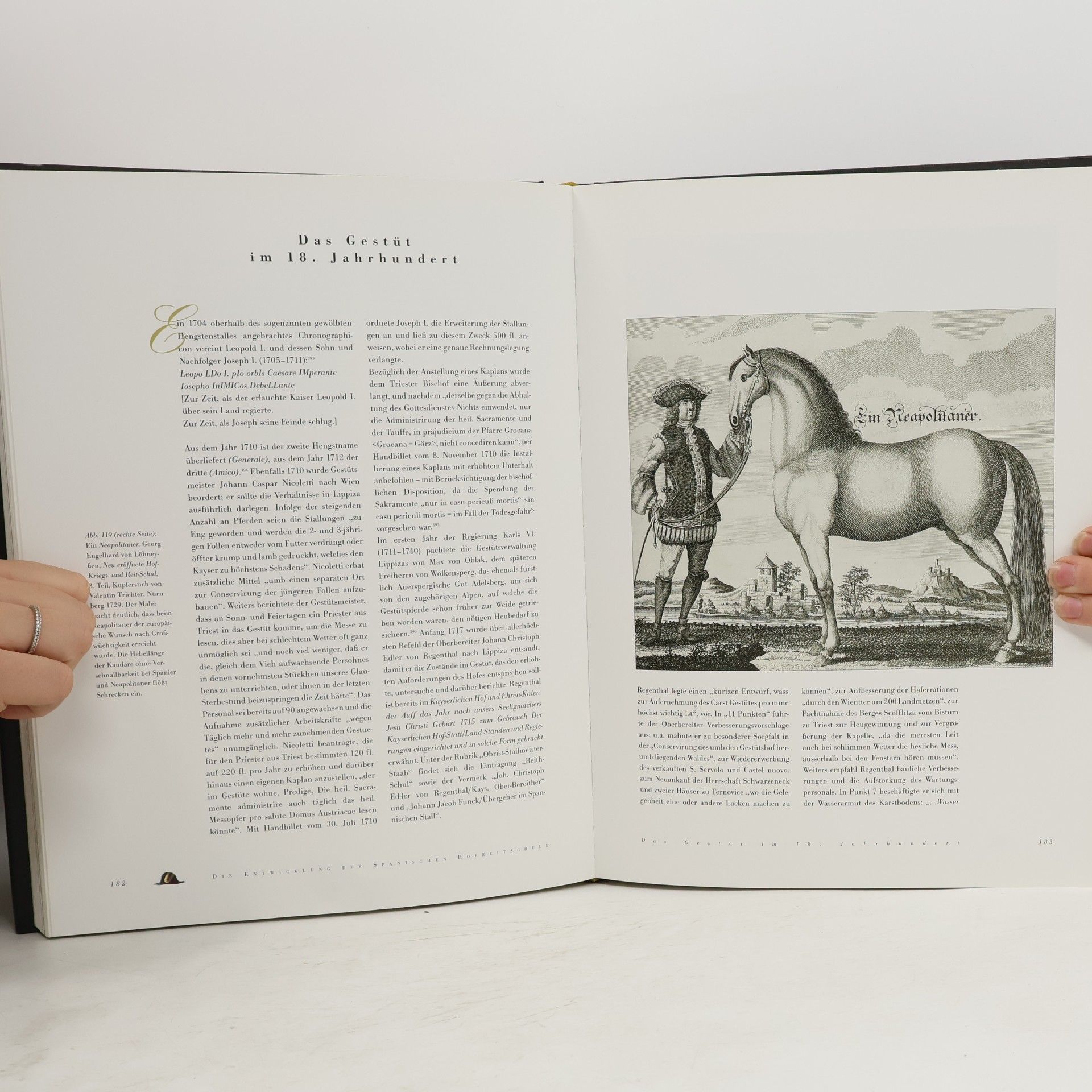 Georg Johannes Kugler Die Lipizzaner der spanischen Hofreitschule