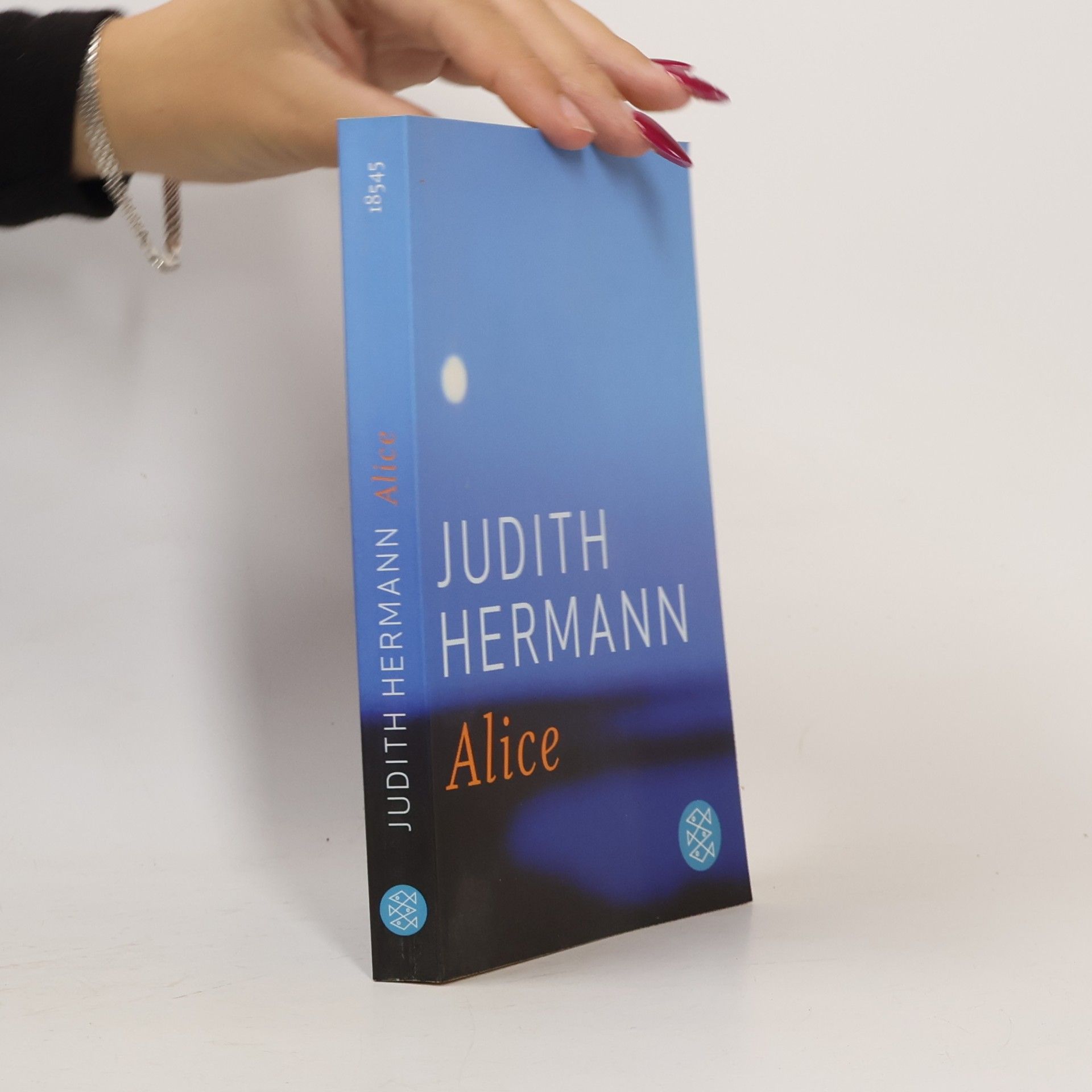 Judith Hermann Alice