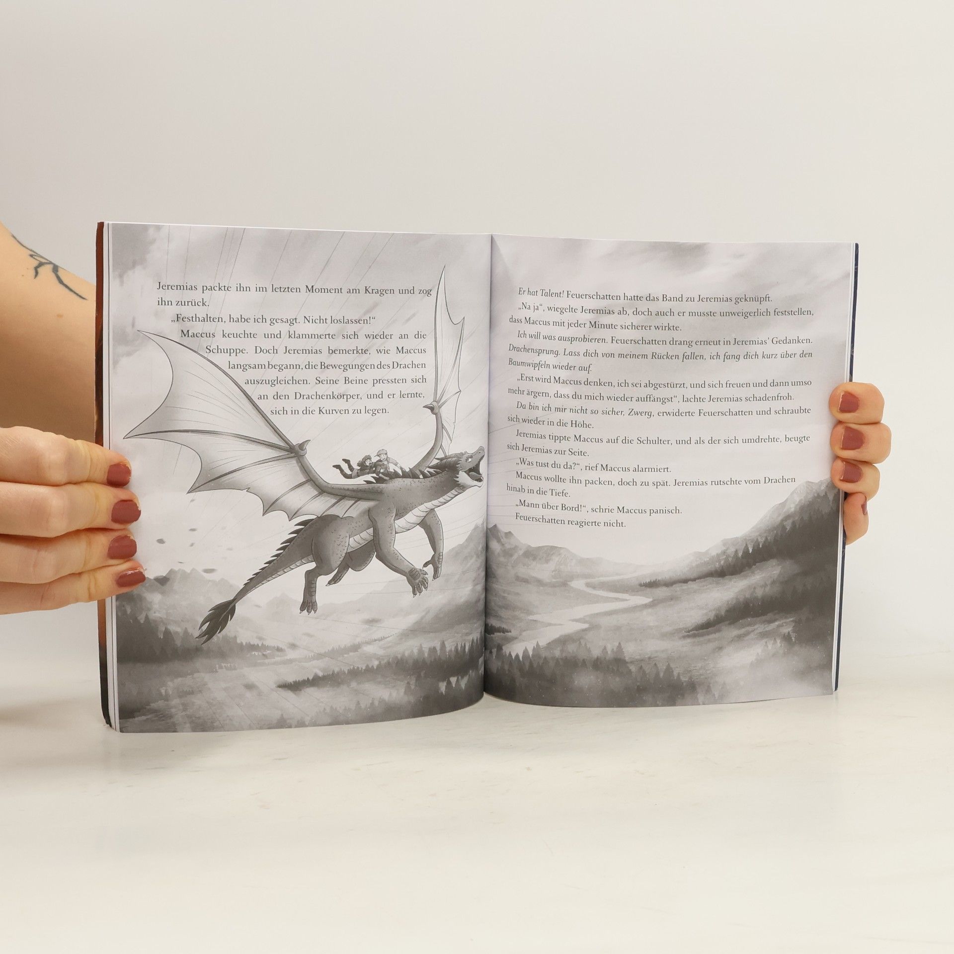 Emily Skye Die geheime Drachenschule. Die Fährende Bibliothek