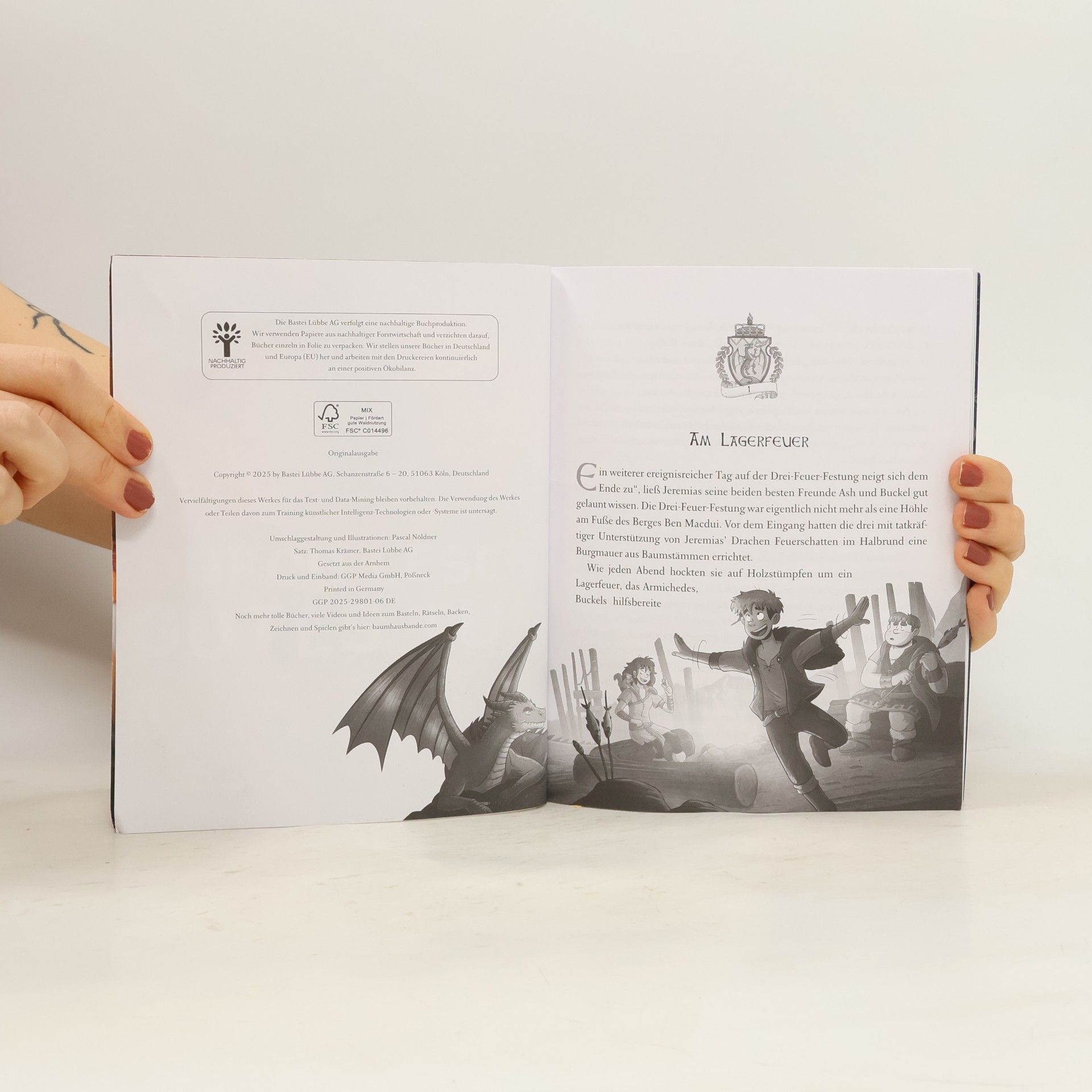 Emily Skye Die geheime Drachenschule. Die Fährende Bibliothek