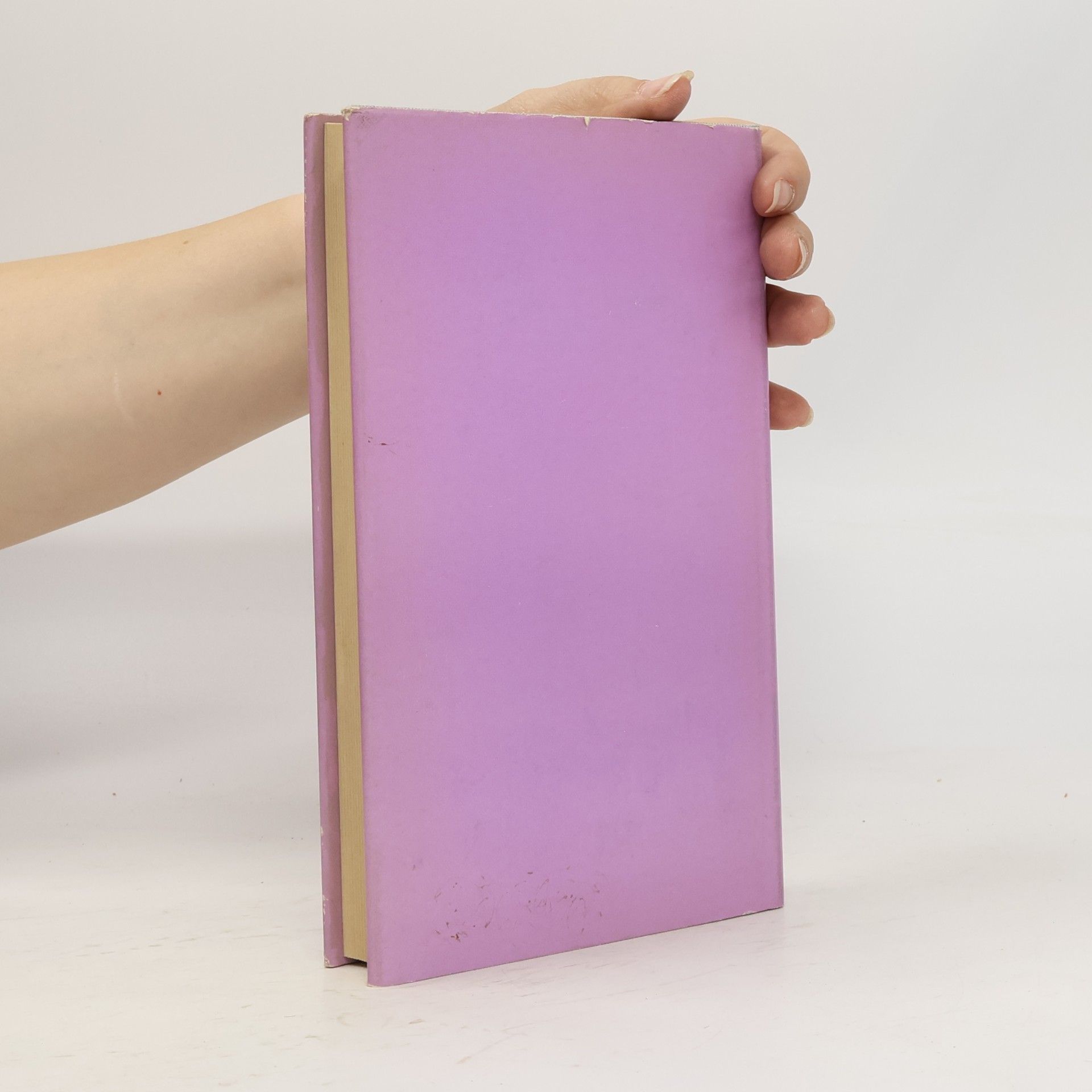 Friedrich Schleiermacher Philosophische Schriften