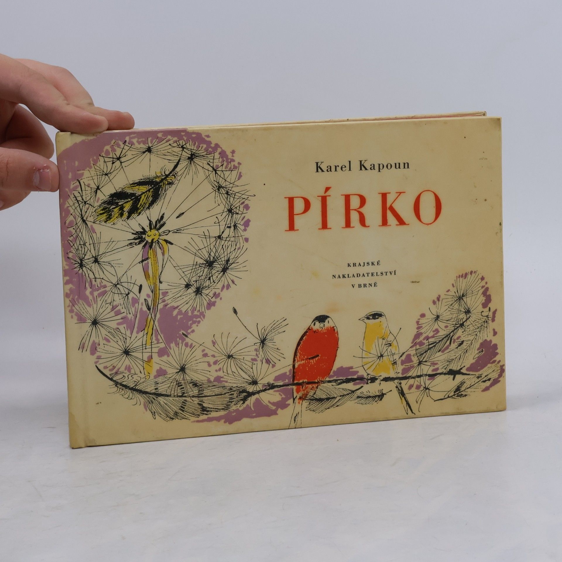 Pírko
