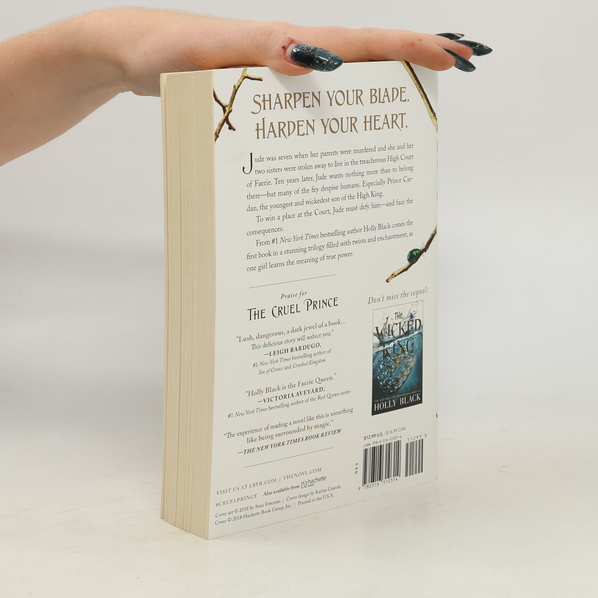Holly Black The Cruel Prince