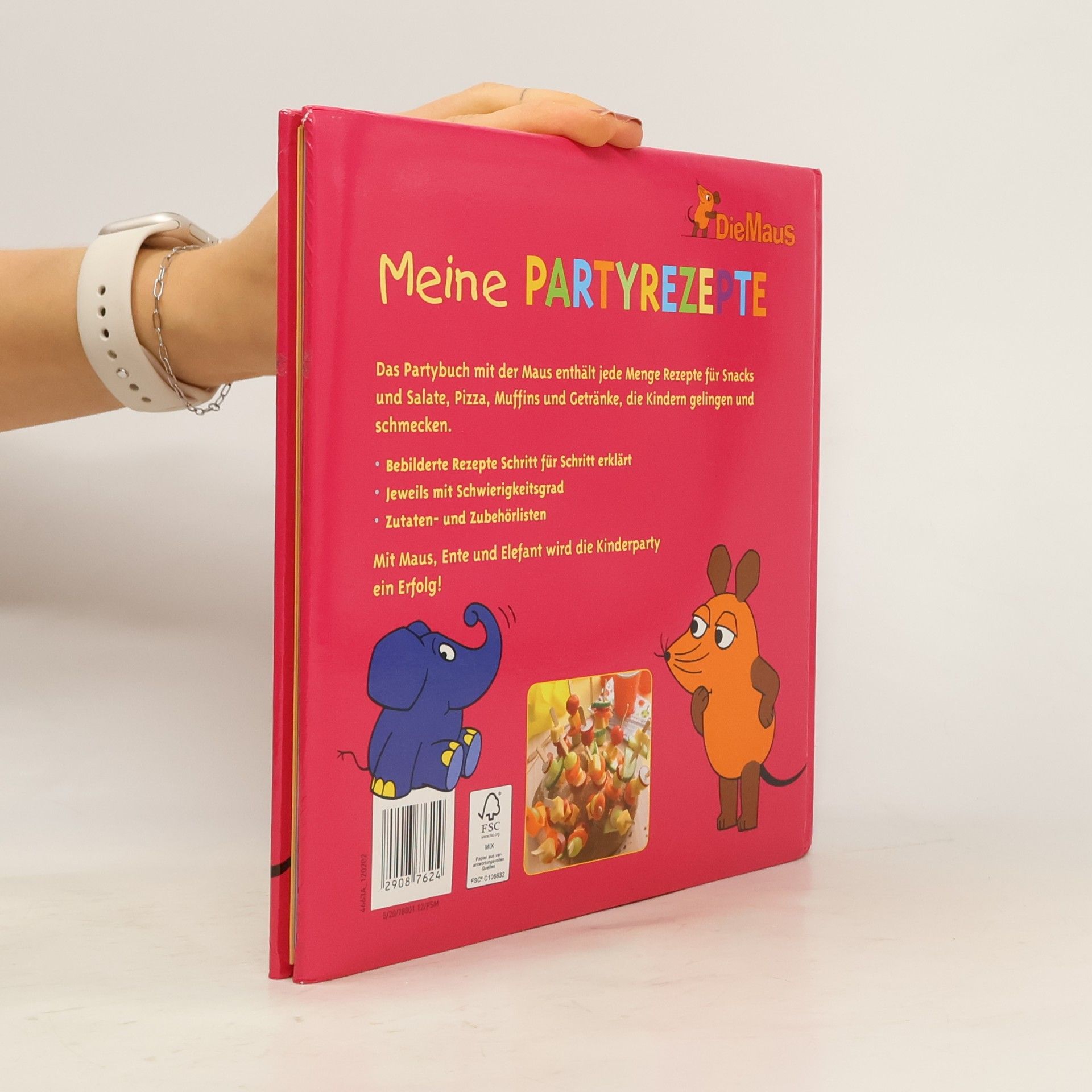 Autorenkollektiv Meine Party Rezepte