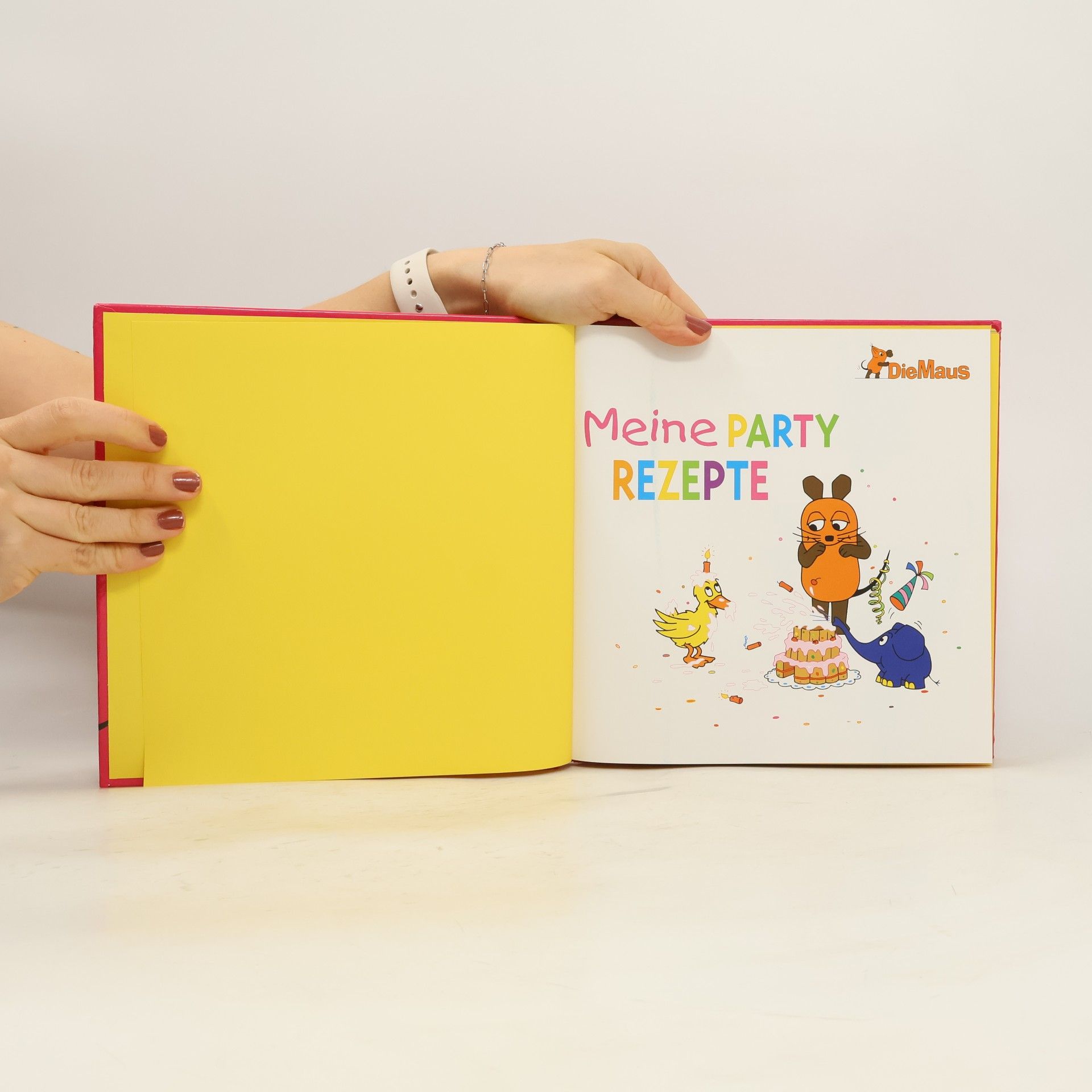 Autorenkollektiv Meine Party Rezepte