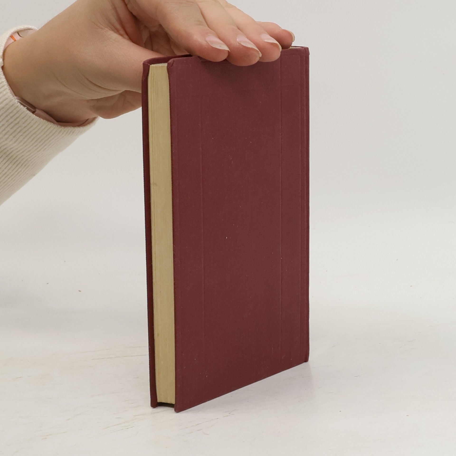 Collectif d'auteurs Irische Erzähler