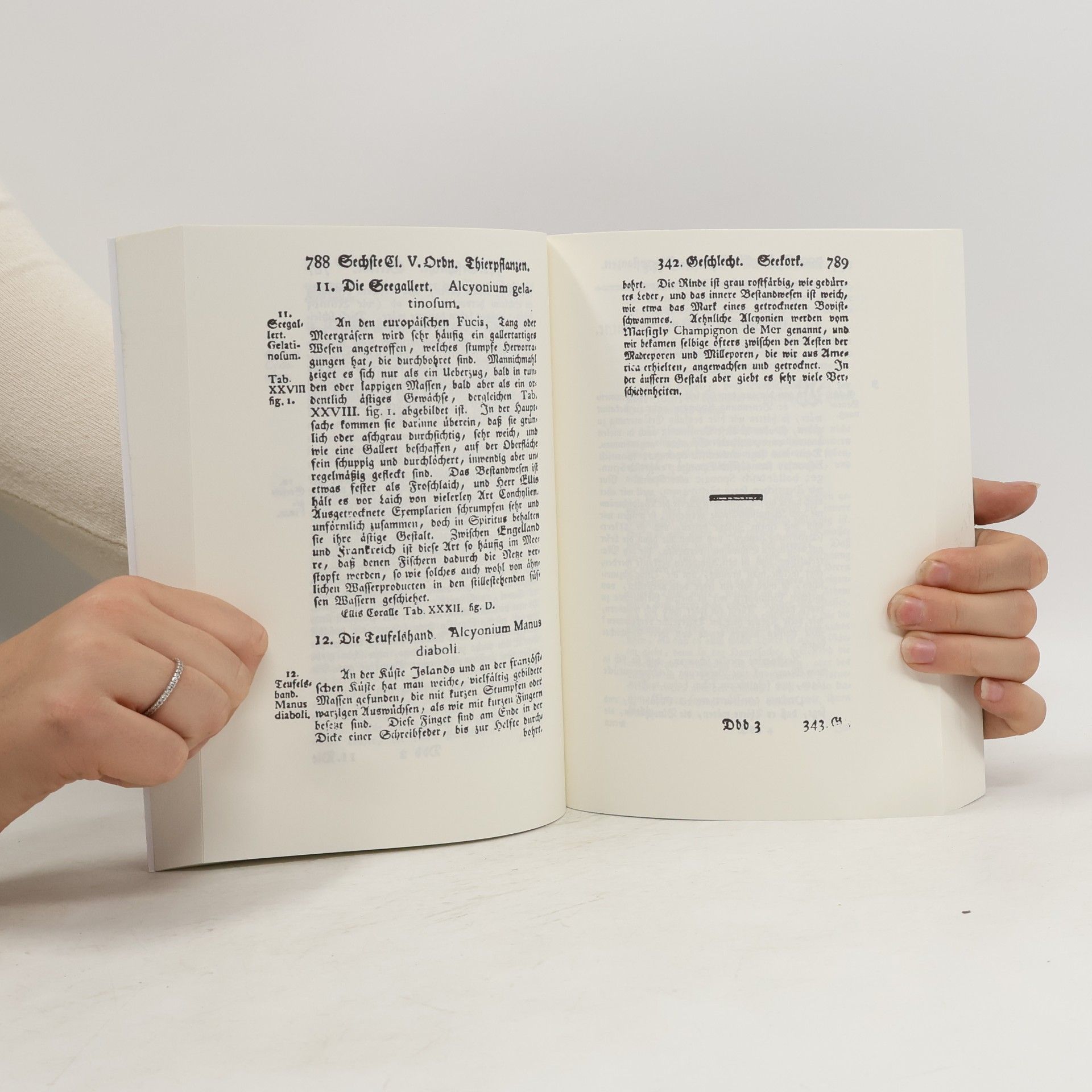 Carl Linnaeus Des Ritters Carl von Linne vollständiges Natursystem