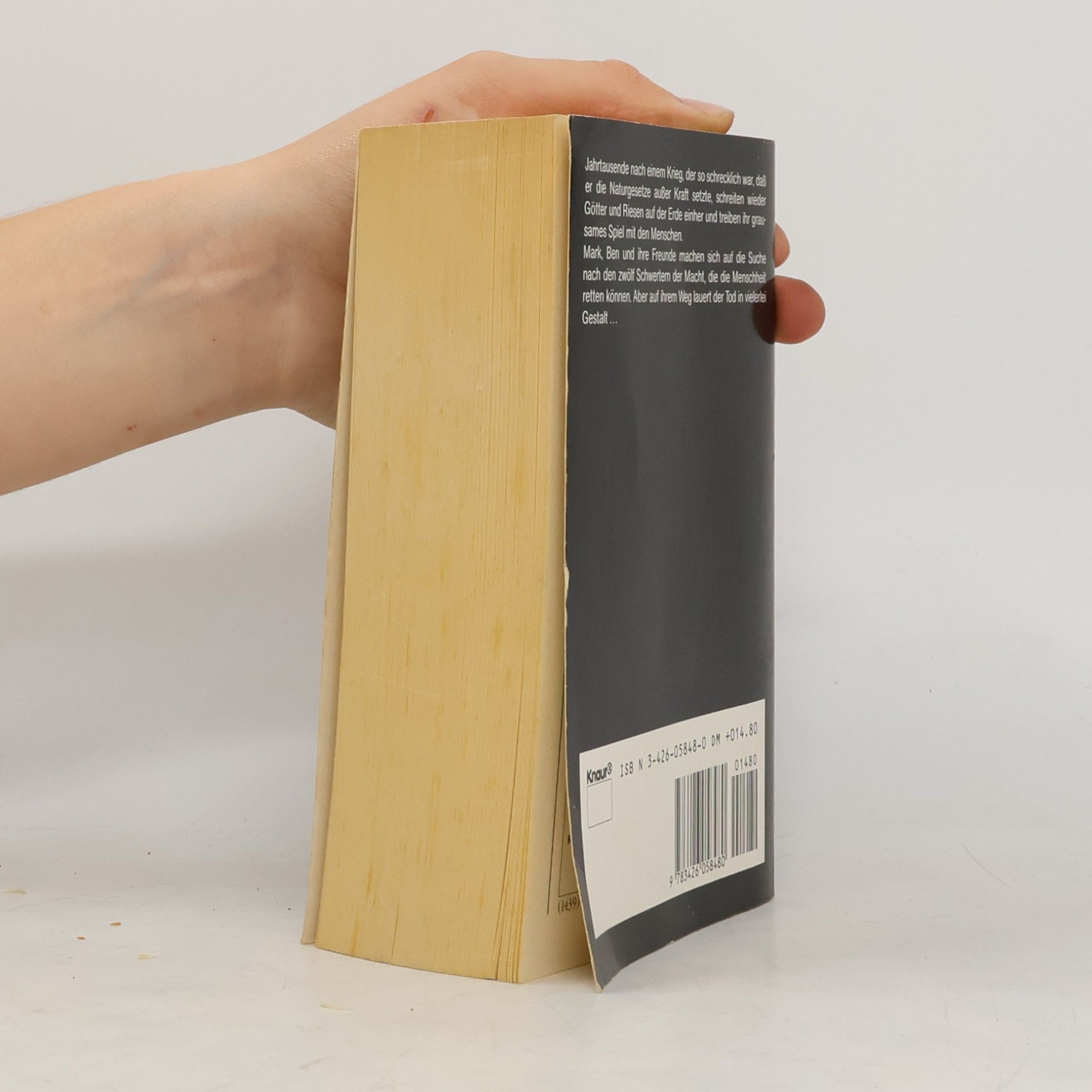 Fred Saberhagen Das Buch der Schwerter