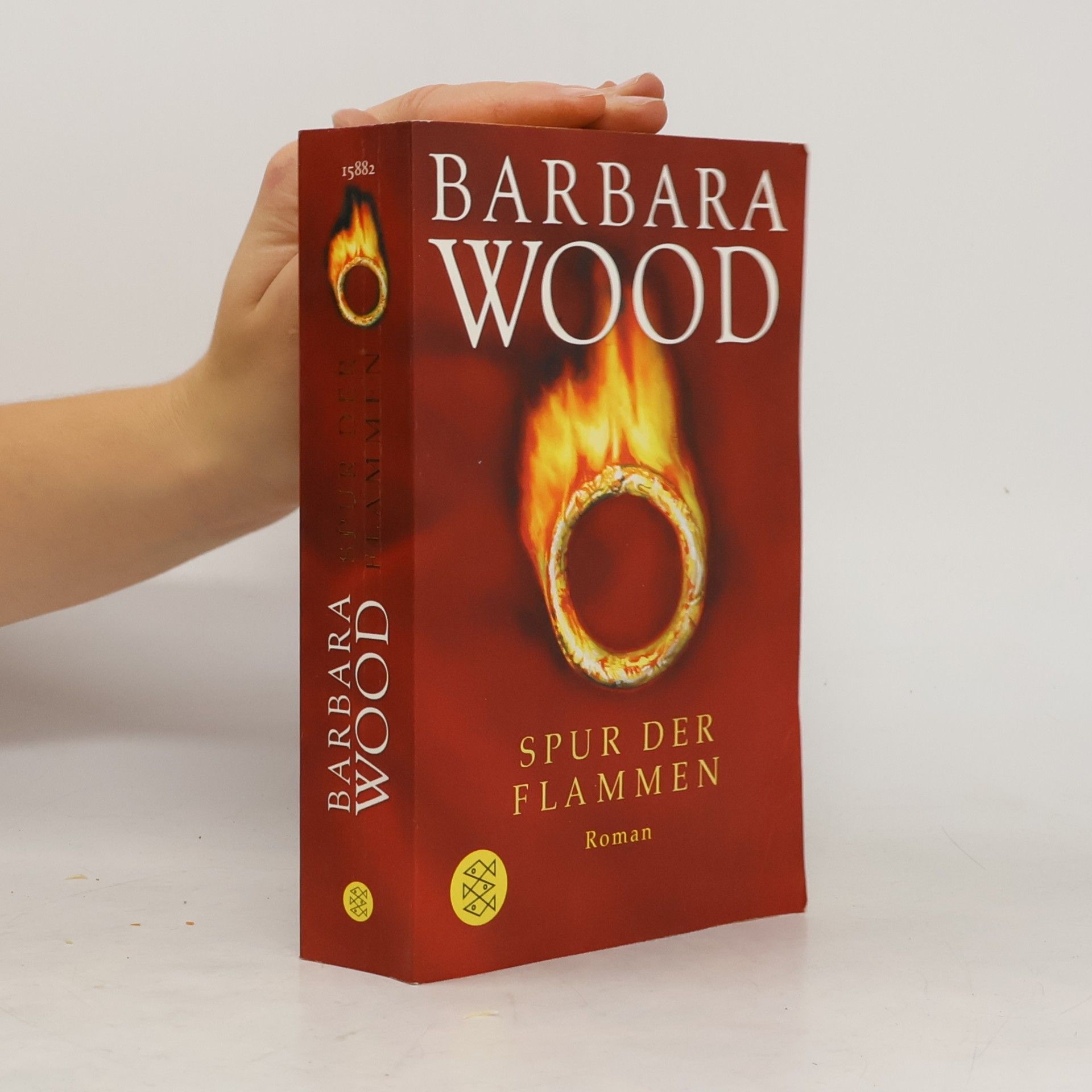 Barbara Wood Spur der Flammen