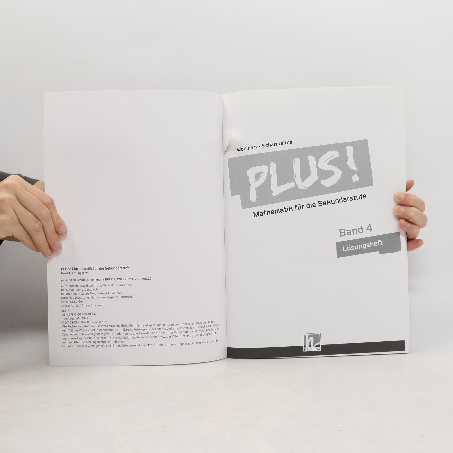 David Wohlhart PLUS! Mathematik für die Sekundarstufe