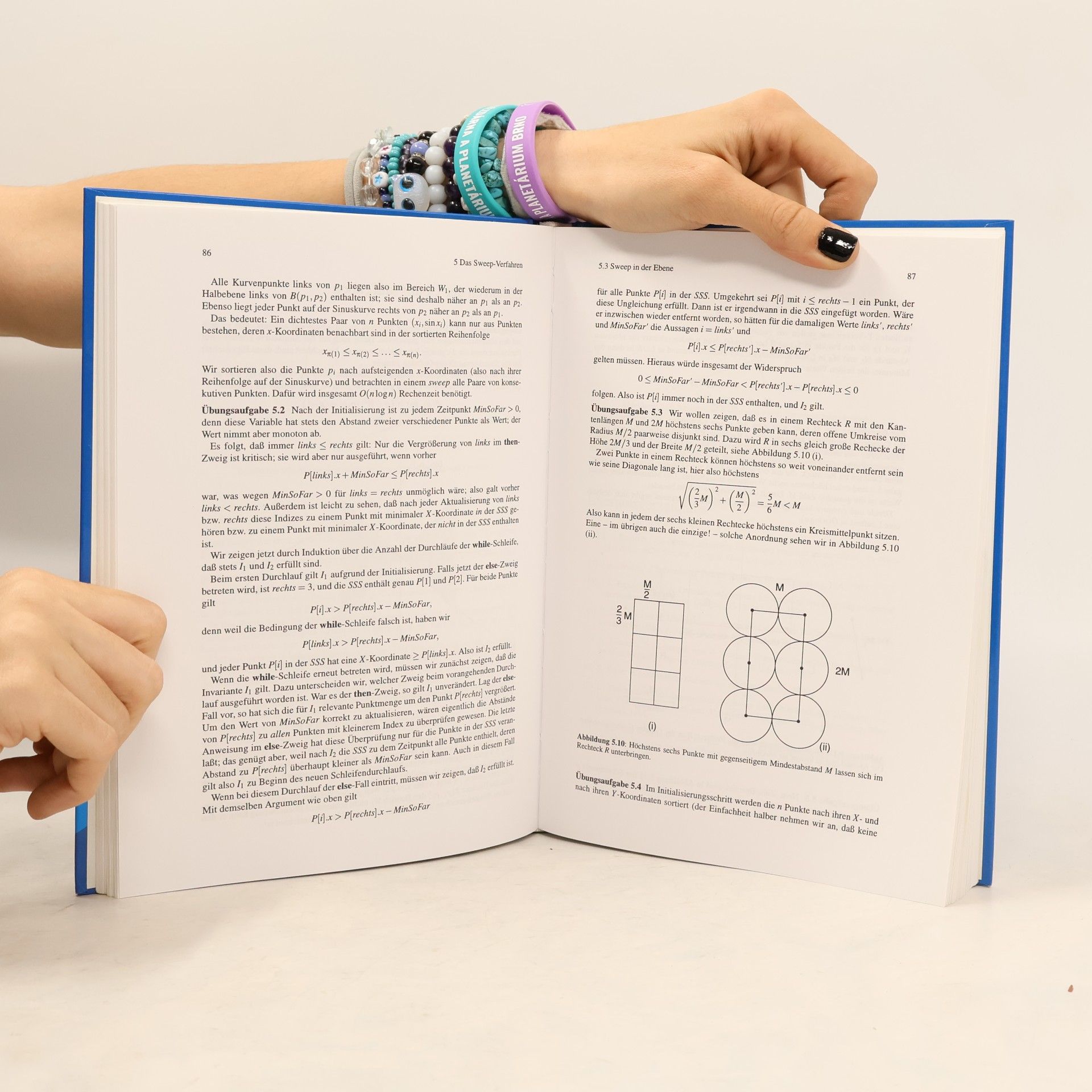 Thomas Ottmann Prinzipien des Algorithmenentwurfs