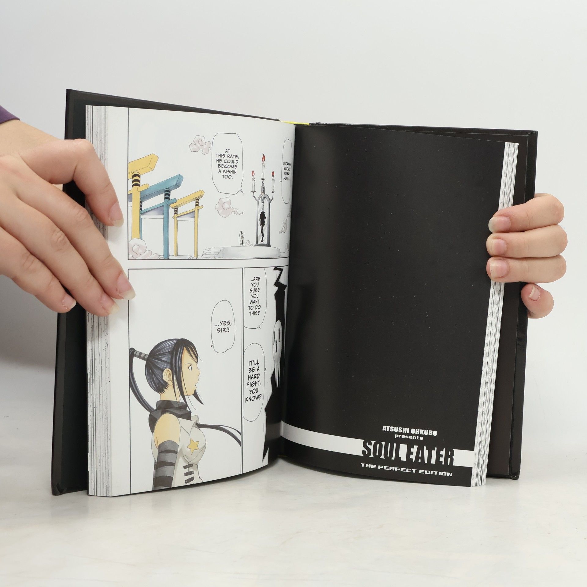 Atsushi Ohkubo Soul Eater: The Perfect Edition 2
