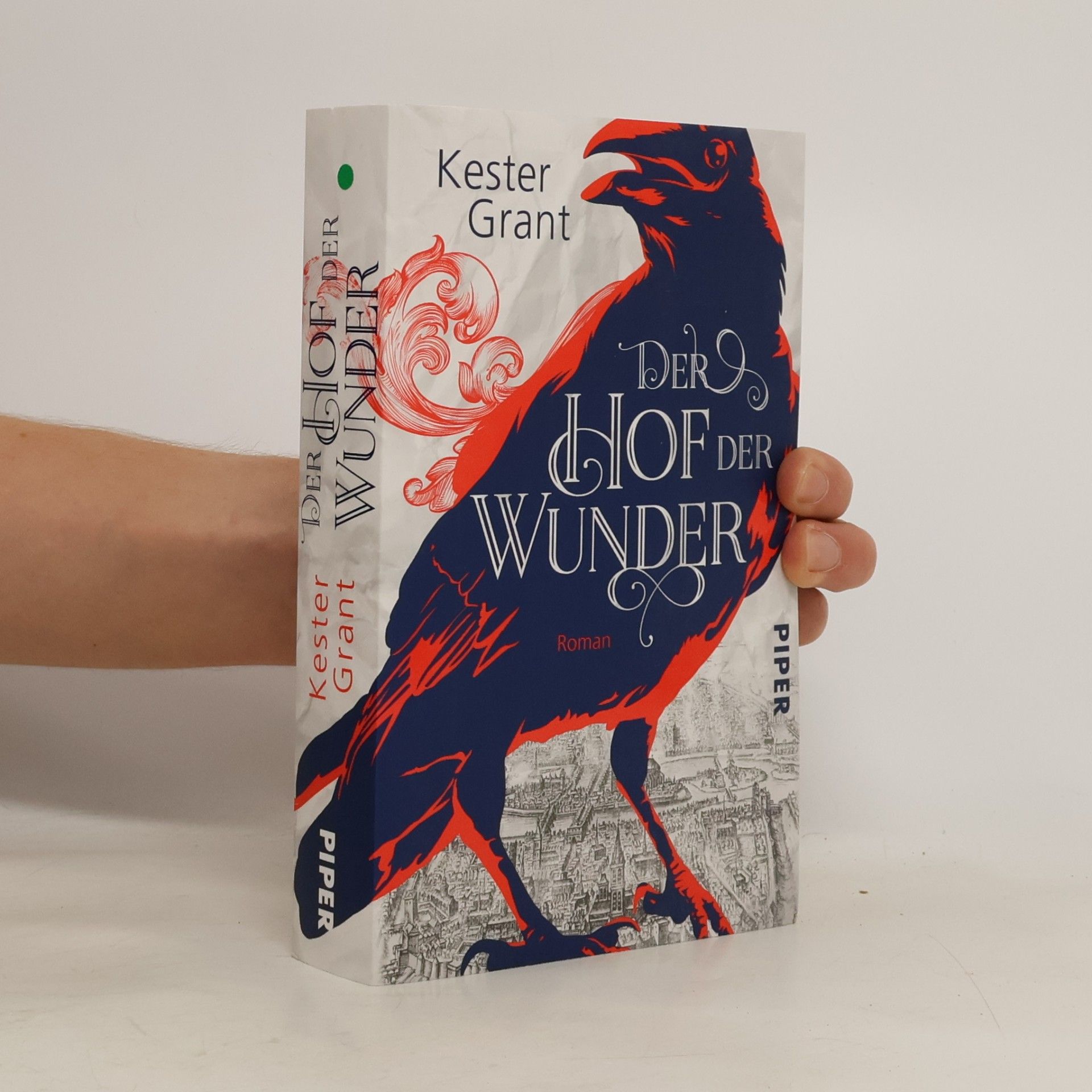 Kester Grant Der Hof der Wunder