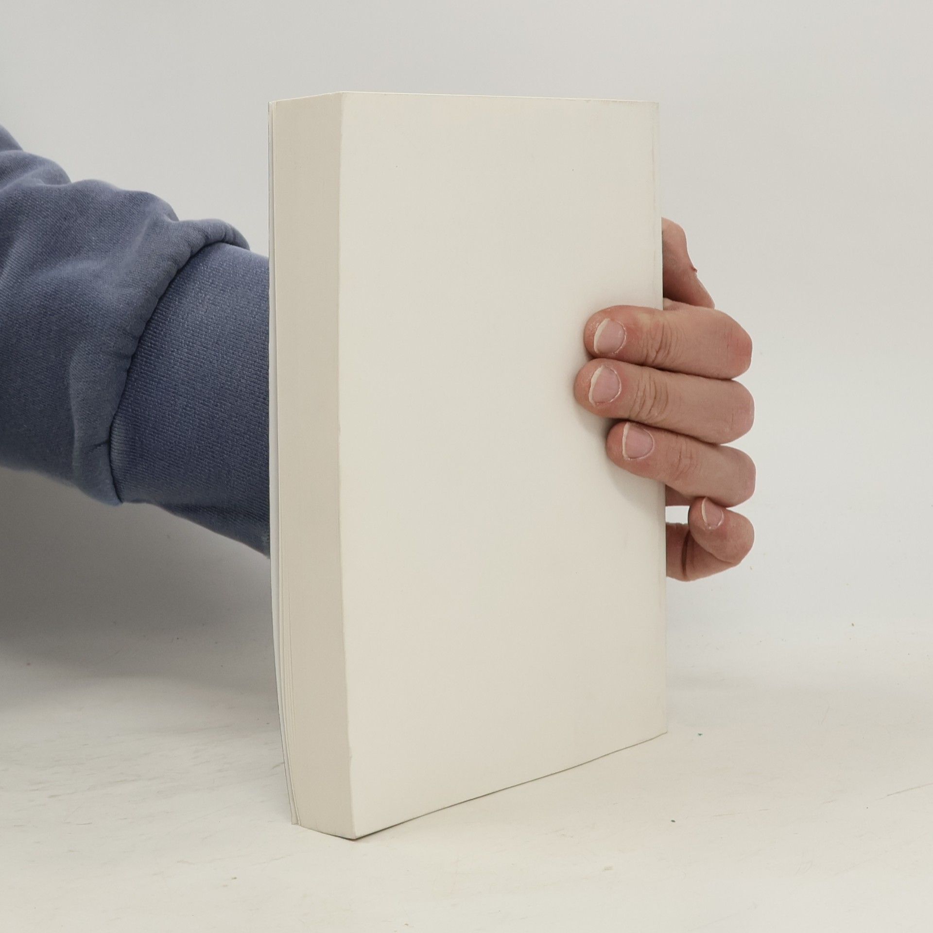 Kolektiv autorů Power Piping