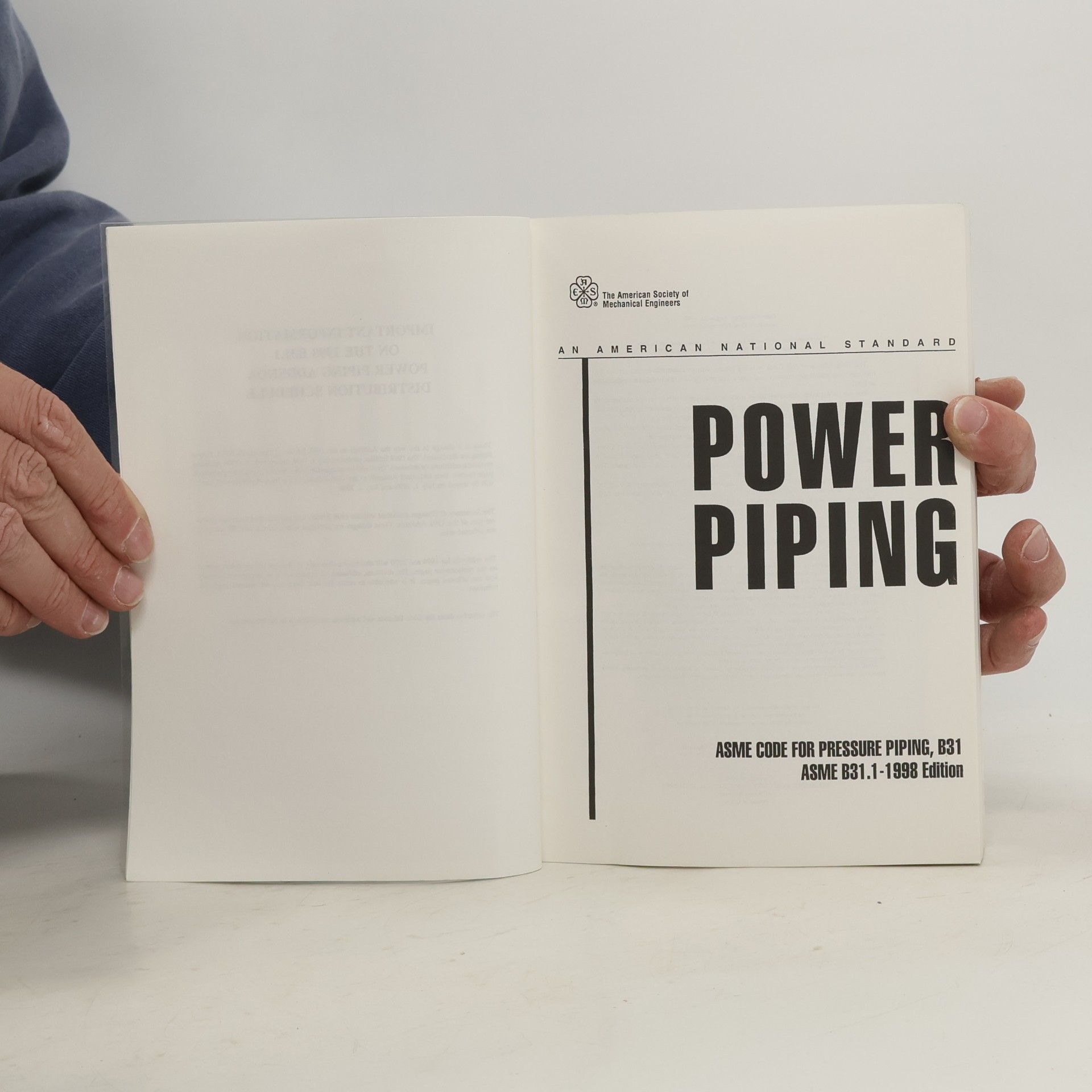 Kolektiv autorů Power Piping