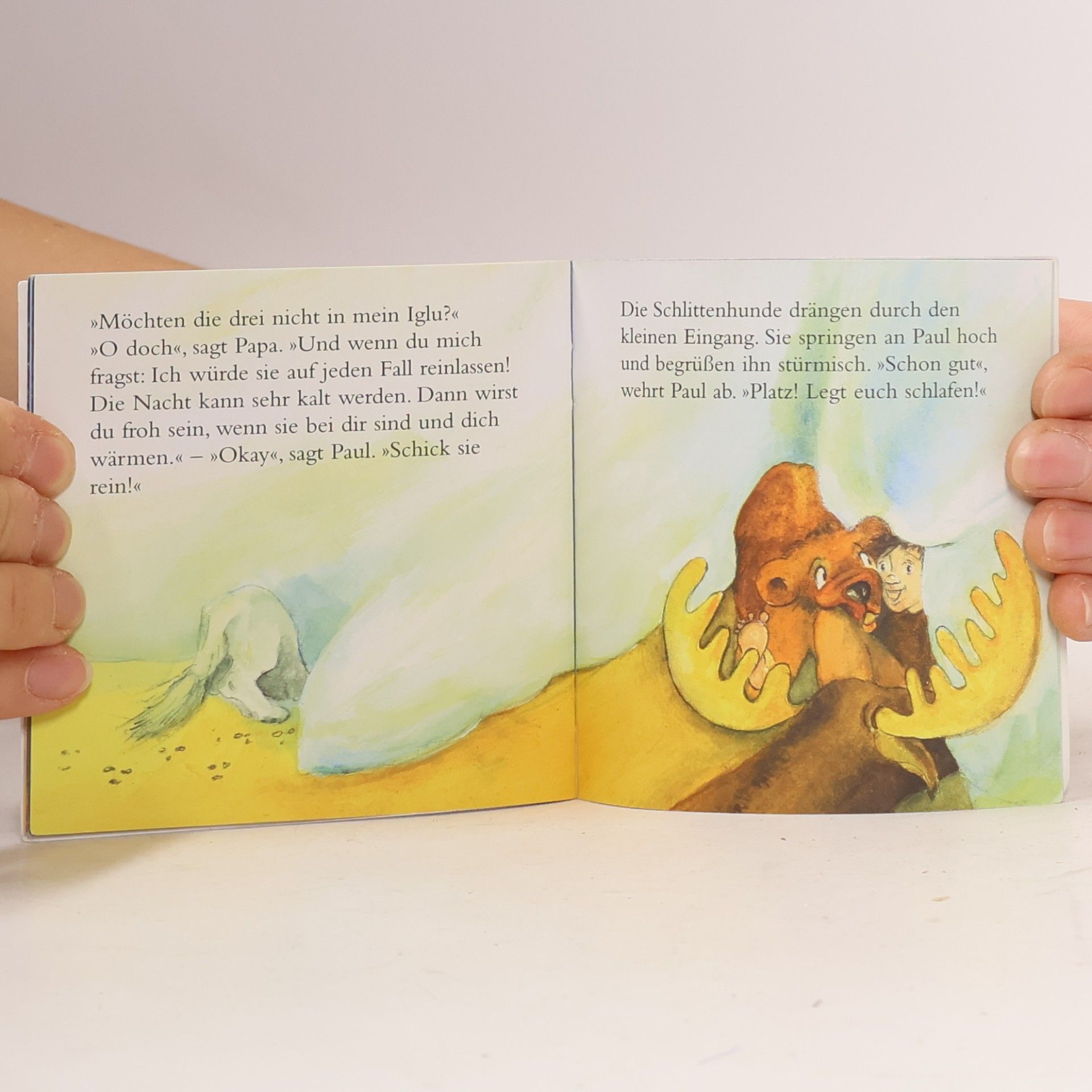 Autorenkollektiv Iglu-Geschichte