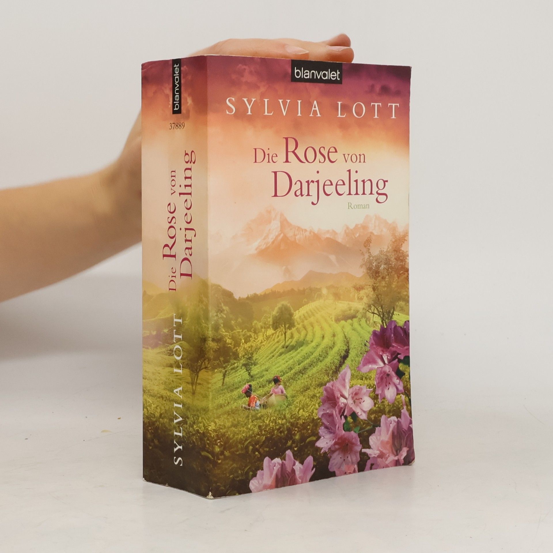 Sylvia Lott Die Rose von Darjeeling