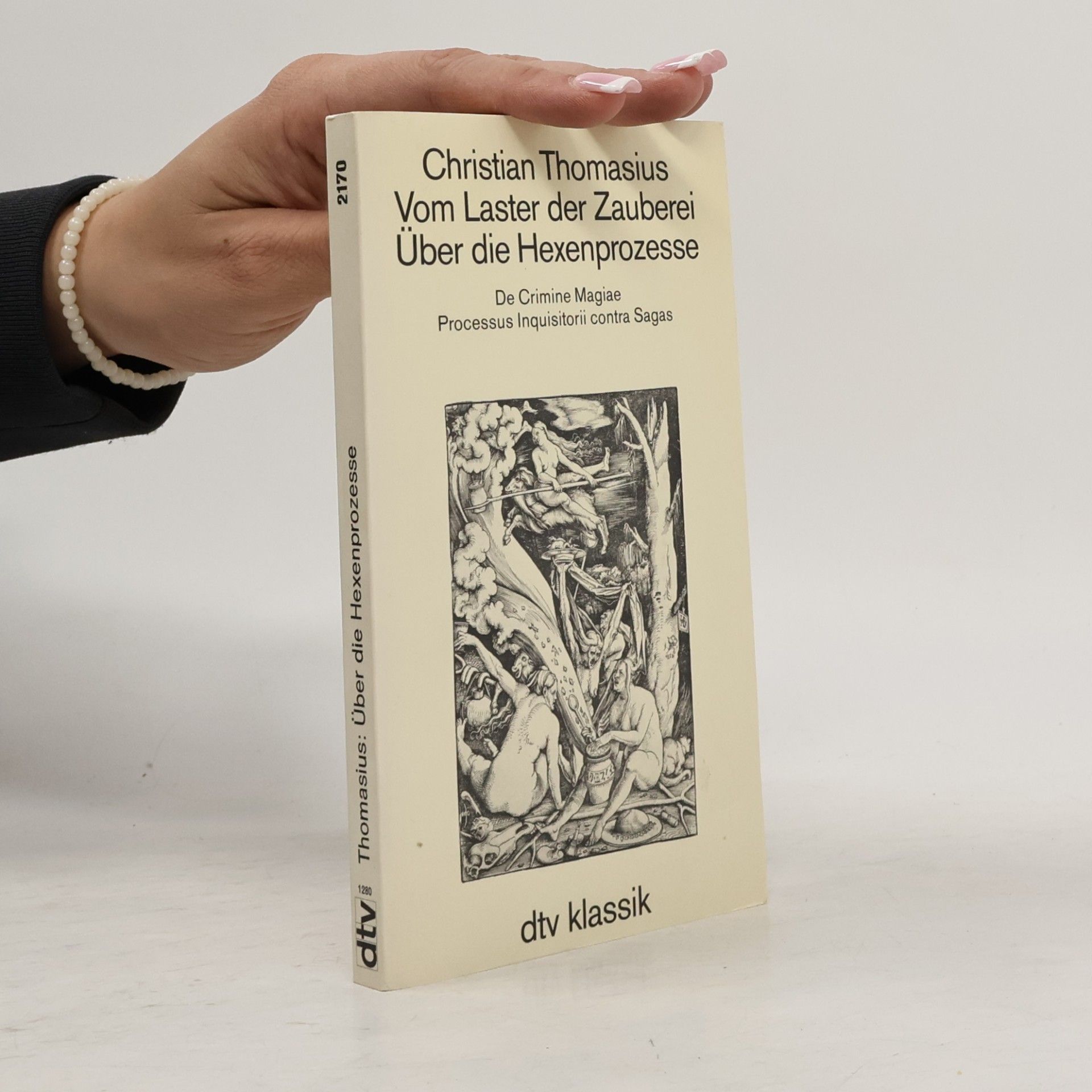 Vom Laster der Zauberei. Über die Hexenprozesse