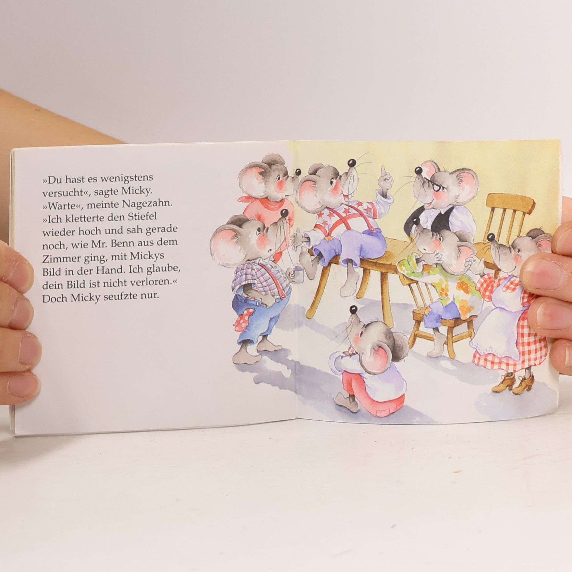 Autorenkollektiv Familie Maus und das fliegende Bild