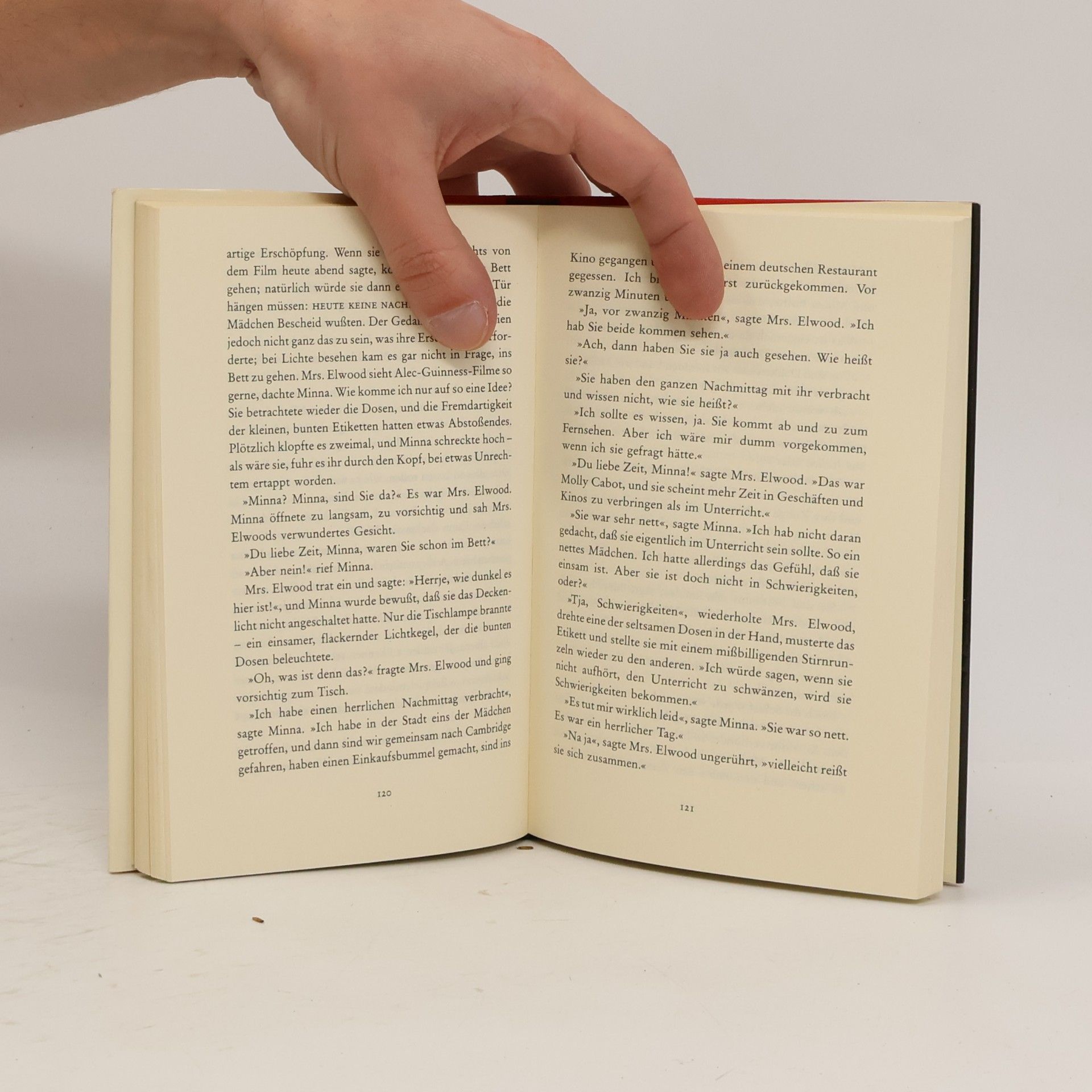 John Irving Rettungsversuch für Piggy Sneed