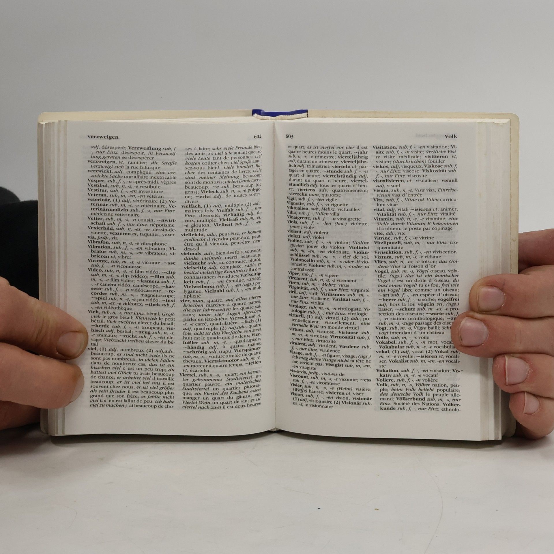 Autorenkollektiv Das große Wörterbuch. Französisch-Deutsch Deutsch-Französisch