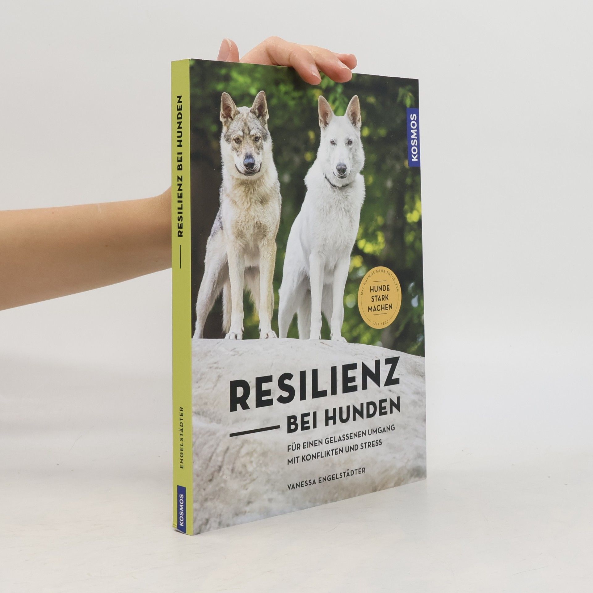 Vanessa Engelstädter Resilienz bei Hunden