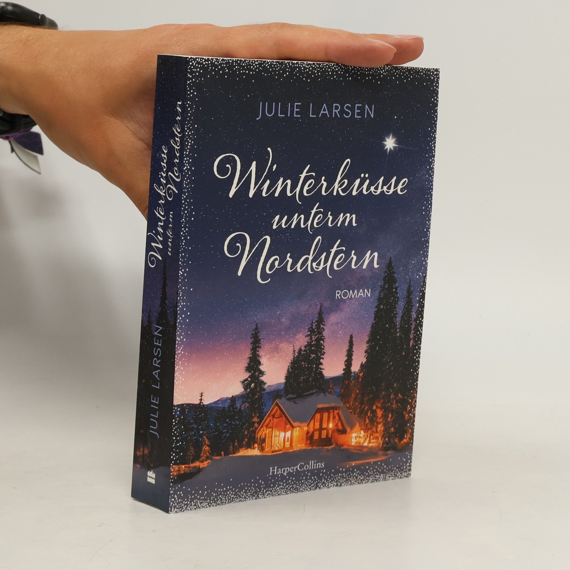 Julie Larsen Winterküsse unterm Nordstern